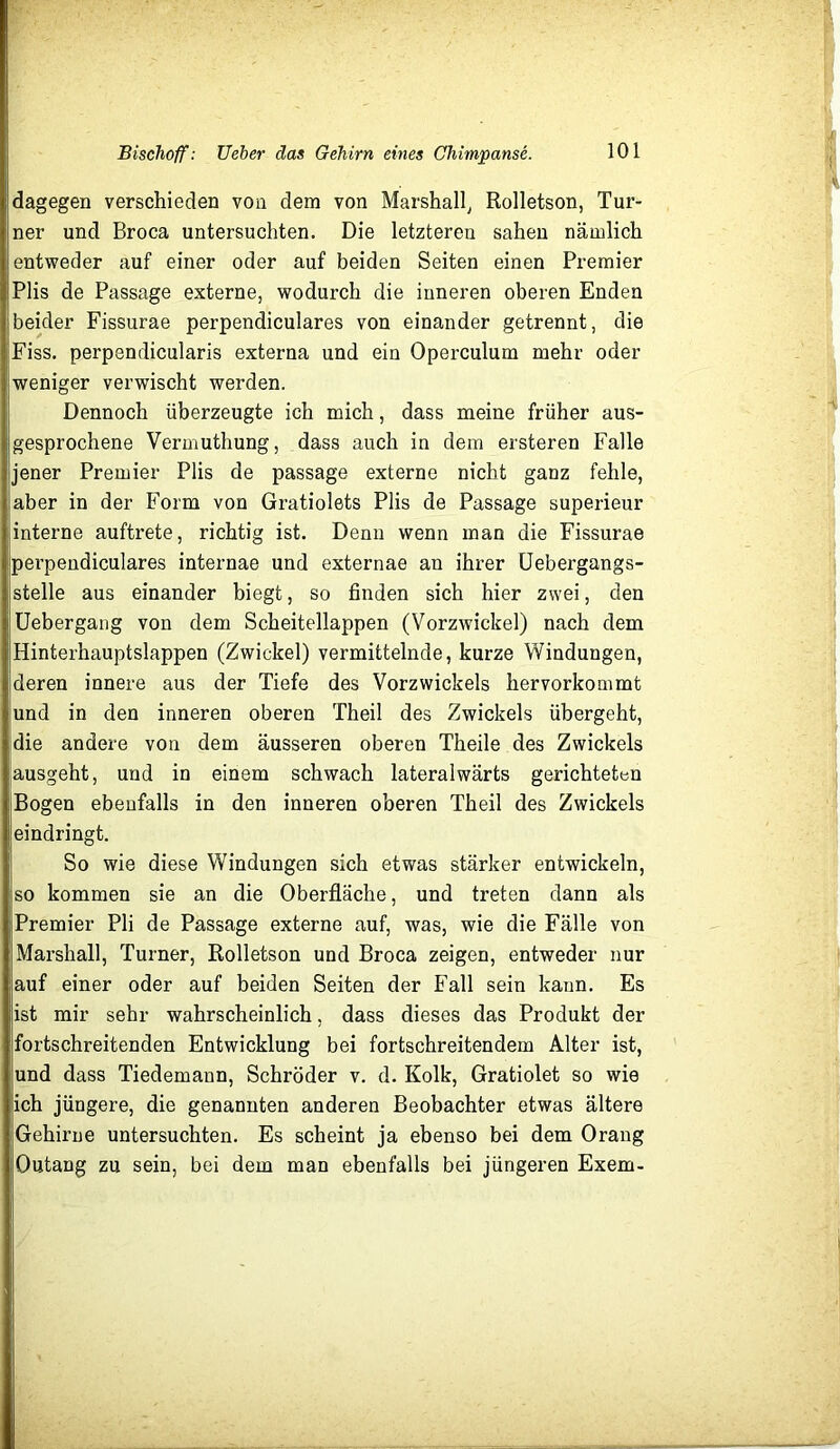 dagegen verschieden von dem von Marshall, Rolletson, Tur- ner und Broca untersuchten. Die letzteren sahen nämlich entweder auf einer oder auf beiden Seiten einen Premier Plis de Passage externe, wodurch die inneren oberen Enden beider Fissurae perpendiculares von einander getrennt, die Fiss. perpendicularis externa und ein Operculum mehr oder weniger verwischt werden. Dennoch überzeugte ich mich, dass meine früher aus- gesprochene Vermuthung, dass auch in dem ersteren Falle jener Premier Plis de passage externe nicht ganz fehle, aber in der Form von Gratiolets Plis de Passage superieur interne auftrete, richtig ist. Denn wenn inan die Fissurae perpendiculares internae und externae an ihrer Uebergangs- stelle aus einander biegt, so finden sich hier zwei, den Uebergang von dem Scheitellappen (Vorzwickel) nach dem Hinterhauptslappen (Zwickel) vermittelnde, kurze Windungen, deren innere aus der Tiefe des Vorzwickels hervorkommt und in den inneren oberen Theil des Zwickels übergeht, die andere von dem äusseren oberen Theile des Zwickels ausgeht, und in einem schwach lateralwärts gerichteten Bogen ebenfalls in den inneren oberen Theil des Zwickels eindringt. So wie diese Windungen sich etwas stärker entwickeln, so kommen sie an die Oberfläche, und treten dann als Premier Pli de Passage externe auf, was, wie die Fälle von Marshall, Turner, Rolletson und Broca zeigen, entweder nur auf einer oder auf beiden Seiten der Fall sein kann. Es ist mir sehr wahrscheinlich, dass dieses das Produkt der jfortschreitenden Entwicklung bei fortschreitendem Alter ist, und dass Tiedemann, Schröder v. d. Kolk, Gratiolet so wie ich jüngere, die genannten anderen Beobachter etwas ältere |Gehirne untersuchten. Es scheint ja ebenso bei dem Orang Outang zu sein, bei dem man ebenfalls bei jüngeren Exem-