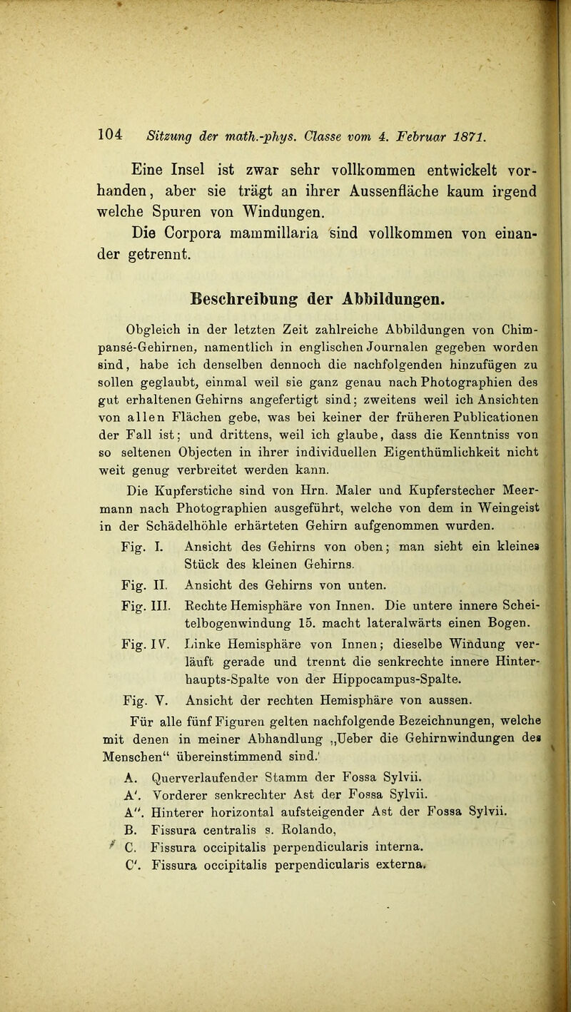 Eine Insel ist zwar sehr vollkommen entwickelt vor- handen , aber sie trägt an ihrer Aussenfläche kaum irgend welche Spuren von Windungen. Die Corpora mammillaria sind vollkommen von einan- der getrennt. Beschreibung der Abbildungen. Obgleich in der letzten Zeit zahlreiche Abbildungen von Chim- panse-Gehirnen, namentlich in englischen Journalen gegeben worden sind, habe ich denselben dennoch die nachfolgenden hinzufügen zu sollen geglaubt, einmal weil sie ganz genau nach Photographien des gut erhaltenen Gehirns angefertigt sind; zweitens weil ich Ansichten von allen Flächen gebe, was bei keiner der früheren Publicationen der Fall ist; und drittens, weil ich glaube, dass die Kenntniss von so seltenen Objecten in ihrer individuellen Eigenthümlichkeit nicht weit genug verbreitet werden kann. Die Kupferstiche sind von Hrn. Maler und Kupferstecher Meer- mann nach Photographien ausgeführt, welche von dem in Weingeist in der Schädelhöhle erhärteten Gehirn aufgenommen wurden. Fig. I. Ansicht des Gehirns von oben; man sieht ein kleines Stück des kleinen Gehirns. Fig. II. Ansicht des Gehirns von unten. Fig. III. Rechte Hemisphäre von Innen. Die untere innere Schei- telbogenwindung 15. macht lateralwärts einen Bogen. Fig. IV. Linke Hemisphäre von Innen; dieselbe Windung ver- läuft gerade und trennt die senkrechte innere Hinter- haupts-Spalte von der Hippocampus-Spalte. Fig. Y. Ansicht der rechten Hemisphäre von aussen. Für alle fünf Figuren gelten nachfolgende Bezeichnungen, welche mit denen in meiner Abhandlung „Ueber die Gehirnwindungen des Menschen“ übereinstimmend sind.1 A. Querverlaufender Stamm der Fossa Sylvii. A'. Vorderer senkrechter Ast der Fossa Sylvii. A. Hinterer horizontal aufsteigender Ast der Fossa Sylvii. B. Fissura centralis s. Rolando, * C. Fissura occipitalis perpendicularis interna. C'. Fissura occipitalis perpendicularis externa.