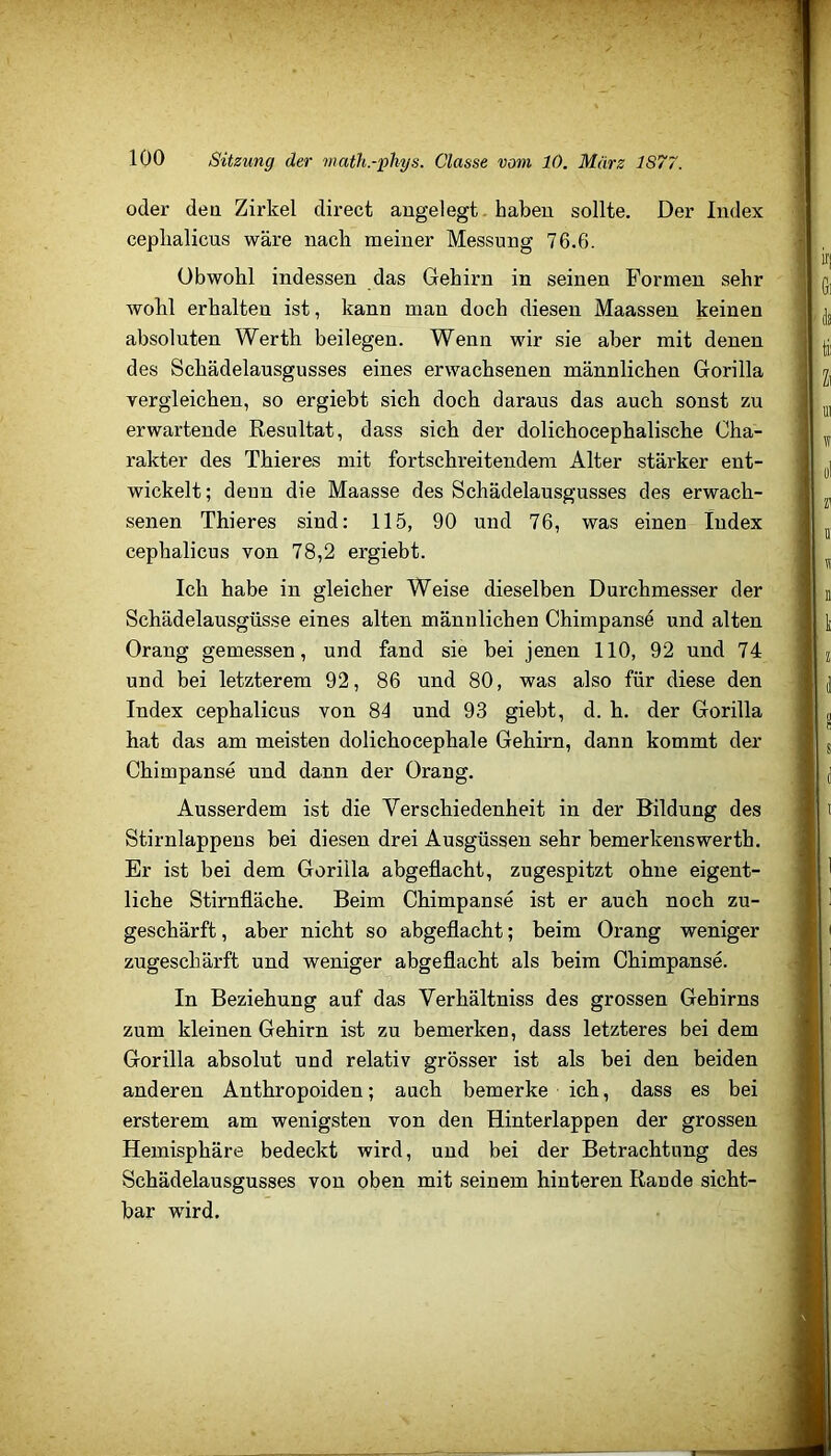 \ oder den Zirkel direct augelegt. haben sollte. Der Index cepbalicus wäre nach meiner Messung 76.6. \ \ Obwohl indessen das Gehirn in seinen Formen sehr | wohl erhalten ist, kann man doch diesen Maassen keinen \ absoluten Werth beilegen. Wenn wir sie aber mit denen | des Schädelausgusses eines erwachsenen männlichen Gorilla vergleichen, so ergiebt sich doch daraus das auch sonst zu | erwartende Resultat, dass sich der dolichocephalische Cha- rakter des Thieres mit fortschreitendem Alter stärker ent- wickelt ; denn die Maasse des Schädelausgusses des erwach- senen Thieres sind: 115, 90 und 76, was einen Index j cephalicus von 78,2 ergiebt. | Ich habe in gleicher Weise dieselben Durchmesser der Schädelausgüsse eines alten männlichen Chimpanse und alten Orang gemessen, und fand sie bei jenen 110, 92 und 74 und bei letzterem 92, 86 und 80, was also für diese den Index cephalicus von 84 und 93 giebt, d. h. der Gorilla hat das am meisten dolichocephale Gehirn, dann kommt der Chimpanse und dann der Orang. Ausserdem ist die Verschiedenheit in der Bildung des Stirnlappens bei diesen drei Ausgüssen sehr bemerkenswerth. j Er ist bei dem Gorilla abgeflacht, zugespitzt ohne eigent- ( liehe Stirnfläche. Beim Chimpanse ist er auch noch zu- ; geschärft, aber nicht so abgeflacht; beim Orang weniger | zugeschärft und weniger abgeflacht als beim Chimpanse. In Beziehung auf das Verhältniss des grossen Gehirns zum kleinen Gehirn ist zu bemerken, dass letzteres bei dem Gorilla absolut und relativ grösser ist als bei den beiden anderen Anthropoiden; auch bemerke ich, dass es bei ersterem am wenigsten von den Hinterlappen der grossen \ Hemisphäre bedeckt wird, und bei der Betrachtung des | Schädelausgusses von oben mit seinem hinteren Rande sicht- bar wird.