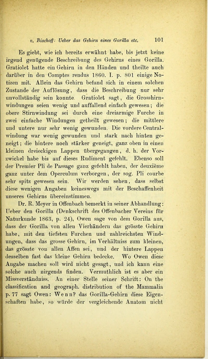 Es giebt, wie ich bereits erwähnt habe, bis jetzt keine irgend genügende Beschreibung des Gehirns eines Gorilla. Gratiolet hatte ein Gehirn in den Händen und theilte auch darüber in den Comptes rendus 1860. I. p. 801 einige No- tizen mit. Allein das Gehirn befand sich in einem solchen Zustande der Auflösung, dass die Beschreibung nur sehr unvollständig sein konnte, Gratiolet sagt, die Grosshirn- windnngen seien wenig und auffallend einfach gewesen; die obere Stirnwindung sei durch eine dreiarmige Furche in zwei einfache Windungen getheilt gewesen; die mittlere und untere nur sehr wenig gewunden. Die vordere Central- windung Avar wenig geAVunden und stark nach hinten ge- neigt ; die hintere noch stärker geneigt, ganz oben in einen kleinen dreieckigen Lappen übergegangen, d. h. der Vor- zwickel habe bis auf dieses Rudiment gefehlt. Ebenso soll der Premier Pli de Passage ganz gefehlt haben, der deuxierae ganz unter dem Operculum verborgen, der sog. Pli courbe sehr spitz gewesen sein. Wir werden sehen, dass selbst diese wenigen Angaben keineswegs mit der Beschaffenheit unseres Gehirns übereinstimmeu. Dr. R. Meyer in Offenbach bemerkt in seiner Abhandlung: Heber den Gorilla (Denkschrift des Offenbacher Vereins für Naturkunde 1863, p. 24), Owen sage von dem Gorilla aus, dass der Gorilla von allen Vierhändern das grösste Gehirn habe, mit den tiefsten Furchen und zahlreichsten Wind- ungen, dass das grosse Gehirn, im Verhältniss zum kleinen, das grösste von allen Affen sei, und der hintere Lappen desselben fast das kleine Gehirn bedecke. Wo Owen diese Angabe machen soll wird nicht gesagt, und ich kann eine solche auch nirgends finden. Vermuthlich ist es aber ein Missverständniss. An einer Stelle seiner Schrift: On the Classification and geograph. distribution of the Mammalia p. 77 sagt OAven: Wenn? das Gorilla-Gehirn diese Eigen- schaften habe, so Avürde der vergleichende Anatom nicht