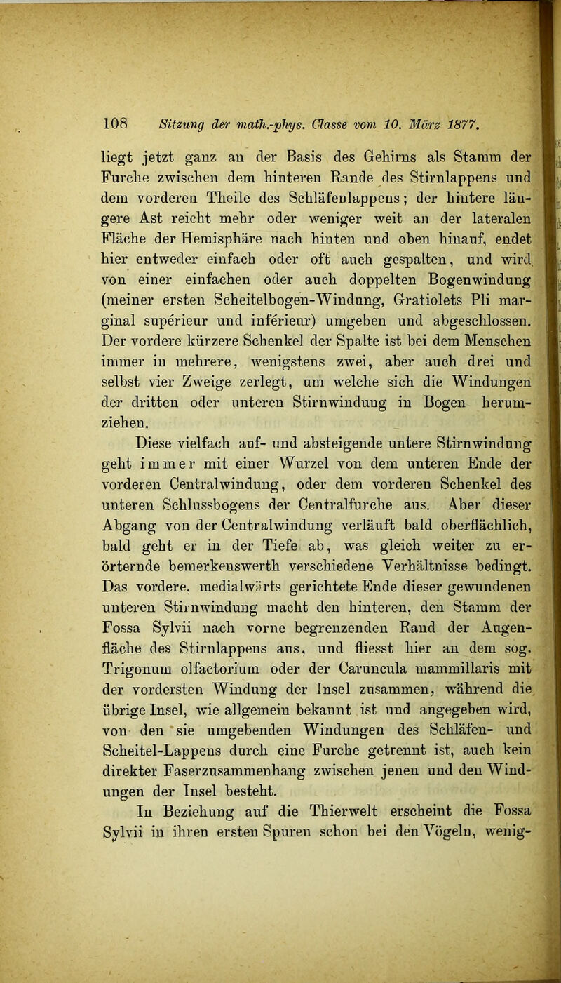liegt jetzt ganz au der Basis des Gehirns als Stamm der Furche zwischen dem hinteren Rande des Stirnlappens und dem vorderen Theile des Schläfenlappens; der hintere län- gere Ast reicht mehr oder weniger weit an der lateralen Fläche der Hemisphäre nach hinten und oben hinauf, endet hier entweder einfach oder oft auch gespalten, und wird, von einer einfachen oder auch doppelten Bogenwindung (meiner ersten Scheitelbogen-Windung, Gratiolets Pli mar- ginal superieur und inferienr) umgeben und abgeschlossen. Der vordere kürzere Schenkel der Spalte ist hei dem Menschen immer in mehrere, wenigstens zwei, aber auch drei und selbst vier Zweige zerlegt, um welche sich die Windungen der dritten oder unteren Stirnwindung in Bogen herum- ziehen. Diese vielfach auf- und absteigende untere Stirnwindung geht immer mit einer Wurzel von dem unteren Ende der vorderen Centralwindung, oder dem vorderen Schenkel des unteren Schlussbogens der Centralfurche aus. Aber dieser Abgang von der Centralwindung verläuft bald oberflächlich, bald geht er in der Tiefe ab, was gleich weiter zu er- örternde beraerkenswerth verschiedene Verhältnisse bedingt. Das vordere, medialwärts gerichtete Ende dieser gewundenen unteren Stirnwindung macht den hinteren, den Stamm der Fossa Sylvii nach vorne begrenzenden Rand der Augen- fläche des Stirnlappens aus, und fliesst hier an dem sog. Trigonum olfactorium oder der Caruncula mammillaris mit der vordersten Windung der Insel zusammen, während die übrige Insel, wie allgemein bekannt ist und angegeben wird, von den ‘sie umgebenden Windungen des Schläfen- und Scheitel-Lappens durch eine Furche getrennt ist, auch kein direkter Faserzusammenhang zwischen jenen und den Wind- ungen der Insel besteht. In Beziehung auf die Thierwelt erscheint die Fossa Sylvii in ihren ersten Spuren schon bei den Vögeln, wenig-