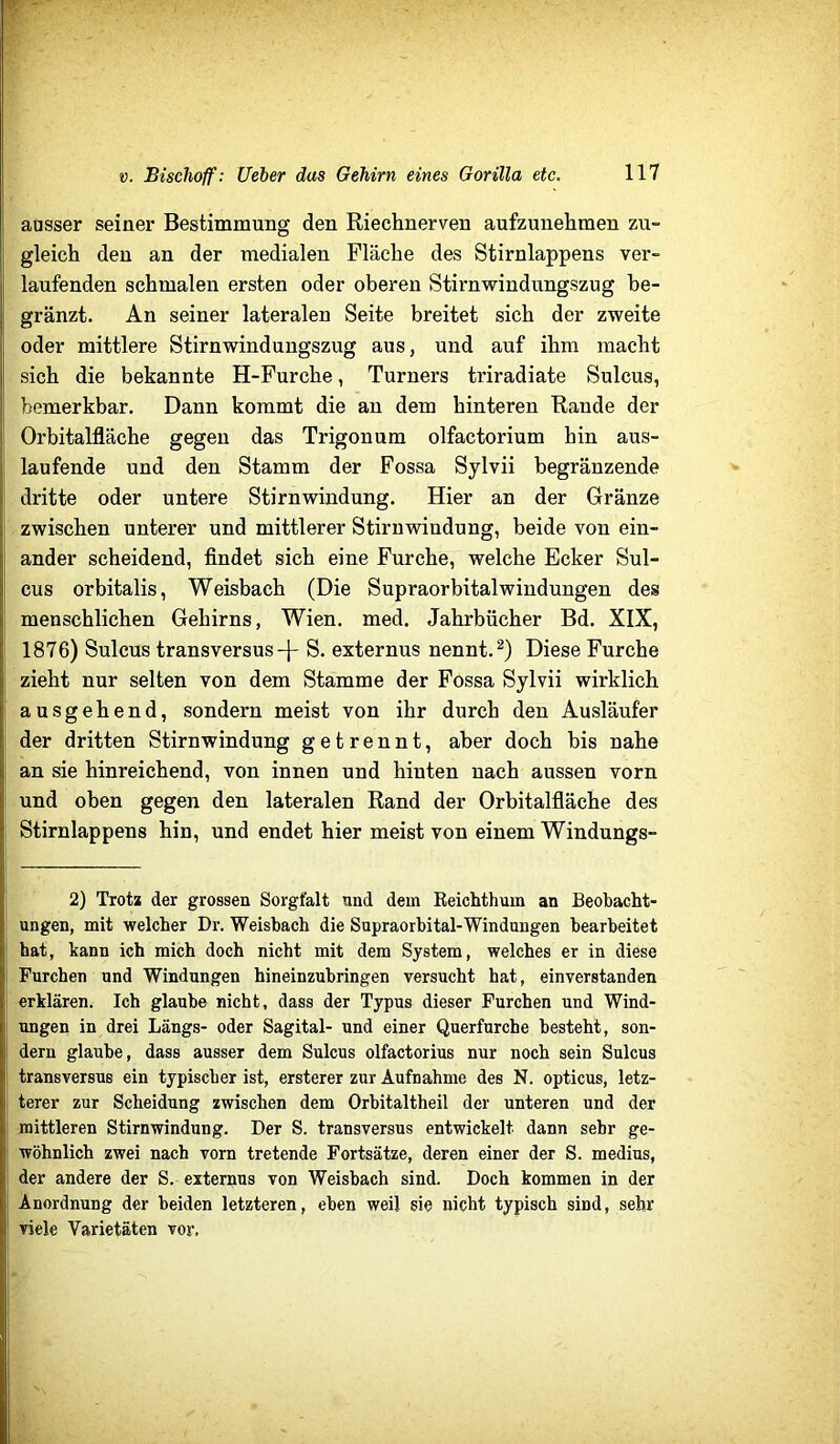 ausser seiner Bestimmung den Riechnerven aufzunehmen zu- gleich den an der medialen Fläche des Stirnlappens ver- laufenden schmalen ersten oder oberen Stirnwindungszug be- gränzt. An seiner lateralen Seite breitet sich der zweite oder mittlere Stirnwindungszug aus, und auf ihm macht sich die bekannte H-Furche, Turners triradiate Sulcus, bemerkbar. Dann kommt die an dem hinteren Rande der Orbitalfläche gegen das Trigon um olfactorium hin aus- laufende und den Stamm der Fossa Sylvii begränzende dritte oder untere Stirnwindung. Hier an der Gränze zwischen unterer und mittlerer Stiruwiudung, beide von ein- ander scheidend, findet sich eine Furche, welche Ecker Sul- cus orbitalis, Weisbach (Die Supraorbital Windungen des menschlichen Gehirns, Wien. med. Jahrbücher Bd. XIX, 1876) Sulcus transversus-j- S. externus nennt. Diese Furche zieht nur selten von dem Stamme der Fossa Sylvii wirklich ausgehend, sondern meist von ihr durch den Ausläufer der dritten Stirnwindung getrennt, aber doch bis nahe an sie hinreichend, von innen und hinten nach aussen vorn und oben gegen den lateralen Rand der Orbitalfläche des Stirnlappens hin, und endet hier meist von einem Windungs- 2) Trota der grossen Sorgfalt und dem Reichthum an Beobacht- ungen, mit welcher Dr. Weisbach die Supraorbital-Windungen bearbeitet hat, kann ich mich doch nicht mit dem System, welches er in diese Furchen und Windungen hineinzubringen versucht hat, einverstanden erklären. Ich glaube nicht, dass der Typus dieser Furchen und Wind- ungen in drei Längs- oder Sagital- und einer Querfurche besteht, son- dern glaube, dass ausser dem Sulcus olfactorius nur noch sein Sulcus transversus ein typischer ist, ersterer zur Aufnahme des N. opticus, letz- terer zur Scheidung zwischen dem Orbitaltheil der unteren und der mittleren Stirnwindung. Der S. transversus entwickelt dann sehr ge- wöhnlich zwei nach vorn tretende Fortsätze, deren einer der S. medius, der andere der S. externus von Weisbach sind. Doch kommen in der Anordnung der beiden letzteren, eben weil sie nicht typisch sind, sehr viele Varietäten vor.