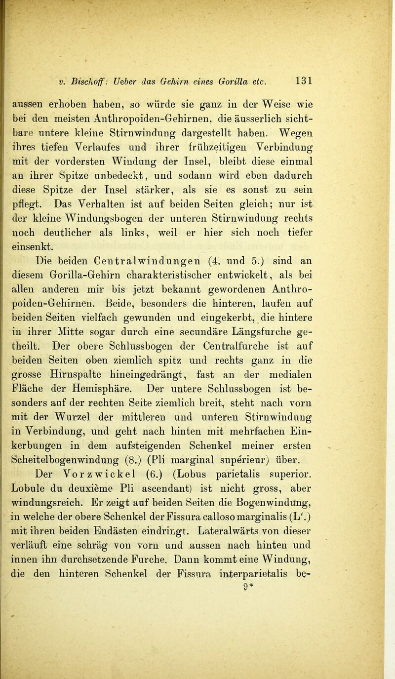 aussen erhoben haben, so würde sie ganz in der Weise wie bei den meisten Anthropoiden-Gehirnen, die äusserlich sicht- bare untere kleine Stirnwindung dargestellt haben. Wegen ihres tiefen Verlaufes und ihrer frühzeitigen Verbindung mit der vordersten Windung der Insel, bleibt diese einmal an ihrer Spitze unbedeckt, und sodann wird eben dadurch diese Spitze der Insel stärker, als sie es sonst zu sein pflegt. Das Verhalten ist auf beiden Seiten gleich; nur ist der kleine Windungsbogen der unteren Stirnwindung rechts noch deutlicher als links, weil er hier sich noch tiefer einsenkt. Die beiden Centralwindungen (4. und 5.) sind an diesem Gorilla-Gehirn charakteristischer entwickelt, als bei allen anderen mir bis jetzt bekannt gewordenen Anthro- poiden-Gehirnen. Beide, besonders die hinteren, laufen auf beiden Seiten vielfach gewunden und eingekerbt, die hintere in ihrer Mitte sogar durch eine secundäre Längsfurche ge- theilt. Der obere Schlussbogen der Centralfurche ist auf beiden Seiten oben ziemlich spitz und rechts ganz in die grosse Hirnspalte hineingedrängt, fast an der medialen Fläche der Hemisphäre. Der untere Schlussbogen ist be- sonders auf der rechten Seite ziemlich breit, steht nach vorn mit der Wurzel der mittleren und unteren Stirnwindung in Verbindung, und geht nach hinten mit mehrfachen Ein- kerbungen in dem aufsteigenden Schenkel meiner ersten Scheitelbogenwindung (8.) (Pli marginal superieur) über. Der Vorzwickel (6.) (Lobus parietalis superior. Lobule du deuxieme Pli ascendant) ist nicht gross, aber windungsreich. Er zeigt auf beiden Seiten die Bogenwindung, in welche der obere Schenkel der Pissura calloso marginalis (L'.) mit ihren beiden Endästen eindringt. Lateralwärts von dieser verläuft eine schräg von vorn und aussen nach hinten und innen ihn durchsetzende Furche. Daun kommt eine Windung, die den hinteren Schenkel der Fissura interparietalis be- 9*