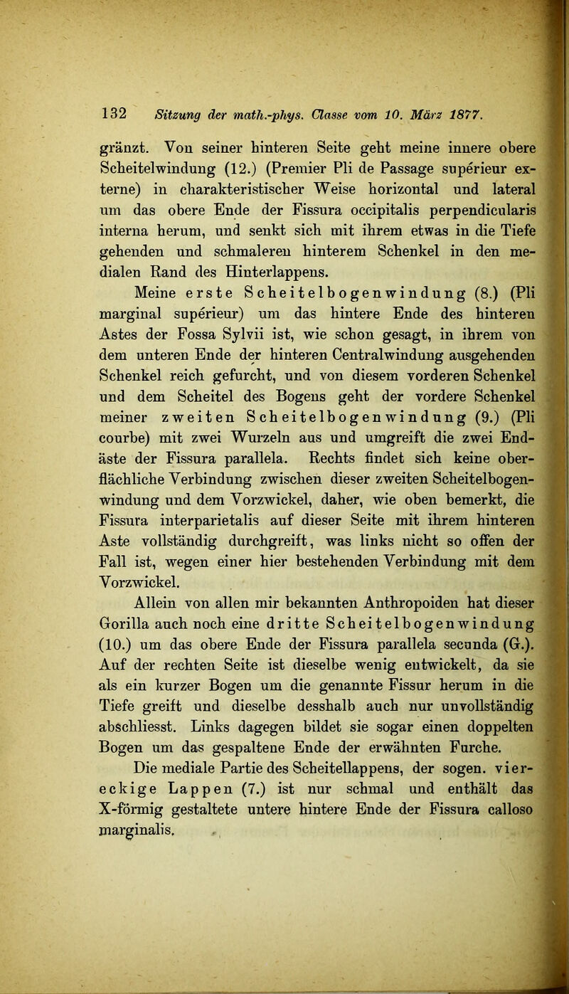gräazt. Vou seiner hinteren Seite geht meine innere obere Scheitelwindung (12.) (Premier Pli de Passage superieur ex- terne) in charakteristischer Weise horizontal und lateral um das obere Ende der Fissura occipitalis perpendicularis interna herum, und senkt sich mit ihrem etwas in die Tiefe gehenden und schmaleren hinterem Schenkel in den me- dialen Rand des Hinterlappens. Meine erste Scheitelbogenwindung (8.) (Pli marginal superieur) um das hintere Ende des hinteren Astes der Fossa Sylvii ist, wie schon gesagt, in ihrem von dem unteren Ende der hinteren Centralwindung ausgehenden Schenkel reich gefurcht, und von diesem vorderen Schenkel und dem Scheitel des Bogens geht der vordere Schenkel meiner zweiten Scheitelbogenwindung (9.) (Pli courbe) mit zwei Wurzeln aus und umgreift die zwei End- äste der Fissura parallela. Rechts findet sich keine ober- flächliche Verbindung zwischen dieser zweiten Scheitelhogen- windung und dem Yorzwickel, daher, wie oben bemerkt, die Fissura interparietalis auf dieser Seite mit ihrem hinteren Aste vollständig durchgreift, was links nicht so offen der Fall ist, wegen einer hier bestehenden Verbindung mit dem Vorzwickel. Allein von allen mir bekannten Anthropoiden hat dieser Gorilla auch noch eine dritte Scheitelhogenwindung (10.) um das obere Ende der Fissura parallela secunda (G.). Auf der rechten Seite ist dieselbe wenig entwickelt, da sie als ein kurzer Bogen um die genannte Fissur herum in die Tiefe greift und dieselbe desshalb auch nur unvollständig abschliesst. Links dagegen bildet sie sogar einen doppelten Bogen um das gespaltene Ende der erwähnten Furche. Die mediale Partie des Scheitellappens, der sogen, vier- eckige Lappen (7.) ist nur schmal und enthält das X-fÖrmig gestaltete untere hintere Ende der Fissura calloso marginalis. * 1. »•d i'