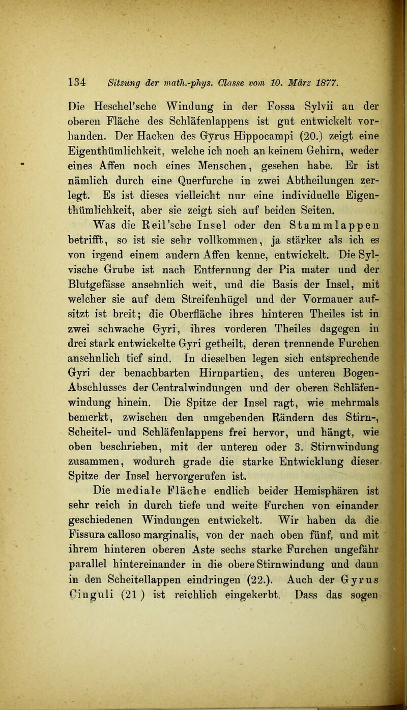 Die Heschel’sche Windung in der Fossa Sylvii an der oberen Fläche des Schläfenlappens ist gut entwickelt Tor- handen. Der Hacken des Gyrus Hippocampi (20.) zeigt eine Eigenthümlichkeit, welche ich noch an keinem Gehirn, weder eines Affen noch eines Menschen, gesehen habe. Er ist nämlich durch eine Querfurche in zwei Abtheilungen zer- legt. Es ist dieses vielleicht nur eine individuelle Eigen- thümlichkeit, aber sie zeigt sich auf beiden Seiten. Was die Reil’sche Insel oder den Stammlappen betrifft, so ist sie sehr vollkommen, ja stärker als ich es von irgend einem andern Affen kenne, entwickelt. Die Syl- vische Grube ist nach Entfernung der Pia mater und der Blutgefässe ansehnlich weit, und die Basis der Insel, mit welcher sie auf dem Streifenhügel und der Vormauer auf- sitzt ist breit; die Oberfläche ihres hinteren Theiles ist in zwei schwache Gyri, ihres vorderen Theiles dagegen in drei stark entwickelte Gyri getheilt, deren trennende Furchen ansehnlich tief sind. In dieselben legen sich entsprechende Gyid der benachbarten Hirnpartien, des unteren Bogen- Abschlusses der Centralwindungen und der oberen Schläfen- windung hinein. Die Spitze der Insel ragt, wie mehrmals bemerkt, zwischen den umgebenden Rändern des Stirn-, Scheitel- und Schläfenlappens frei hervor, und hängt, wie oben beschrieben, mit der unteren oder 3. Stirnwindung zusammen, wodurch grade die starke Entwicklung dieser Spitze der Insel hervorgerufen ist. Die mediale Fläche endlich beider Hemisphären ist sehr reich in durch tiefe und weite Furchen von einander geschiedenen Windungen entwickelt. Wir haben da die Fissura calloso marginalis, von der nach oben fünf, und mit ihrem hinteren oberen Aste sechs starke Furchen ungefähr parallel hintereinander in die obere Stirnwindung und dann in den Scheitellappen eindringen (22.). Auch der Gyrus Cinguli (21) ist reichlich eingekerbt. Dass das sogen