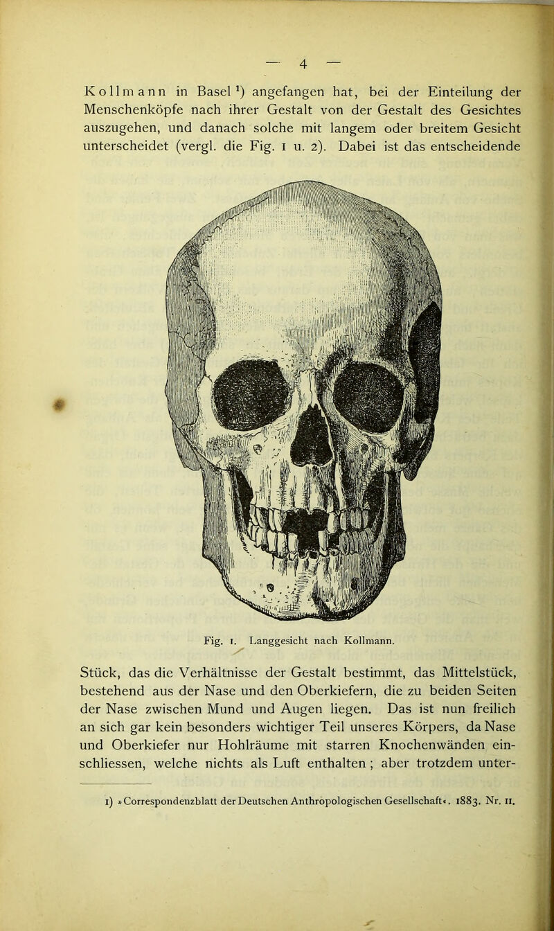 Kollmann in Basel’) angefangen hat, bei der Einteilung der Menschenköpfe nach ihrer Gestalt von der Gestalt des Gesichtes auszugehen, und danach solche mit langem oder breitem Gesicht unterscheidet (vergl. die Fig. i u. 2). Dabei ist das entscheidende * Fig. I. Langgesicht nach Kollmann. y Stück, das die Verhältnisse der Gestalt bestimmt, das Mittelstück, bestehend aus der Nase und den Oberkiefern, die zu beiden Seiten der Nase zwischen Mund und Augen liegen. Das ist nun freilich an sich gar kein besonders wichtiger Teil unseres Körpers, da Nase und Oberkiefer nur Hohlräume mit starren Knochenwänden ein- schliessen, welche nichts als Luft enthalten ; aber trotzdem unter- i) uCorrespondenzblatt der Deutschen Anthropologischen Gesellschaft«. 1883. Nr. ii.