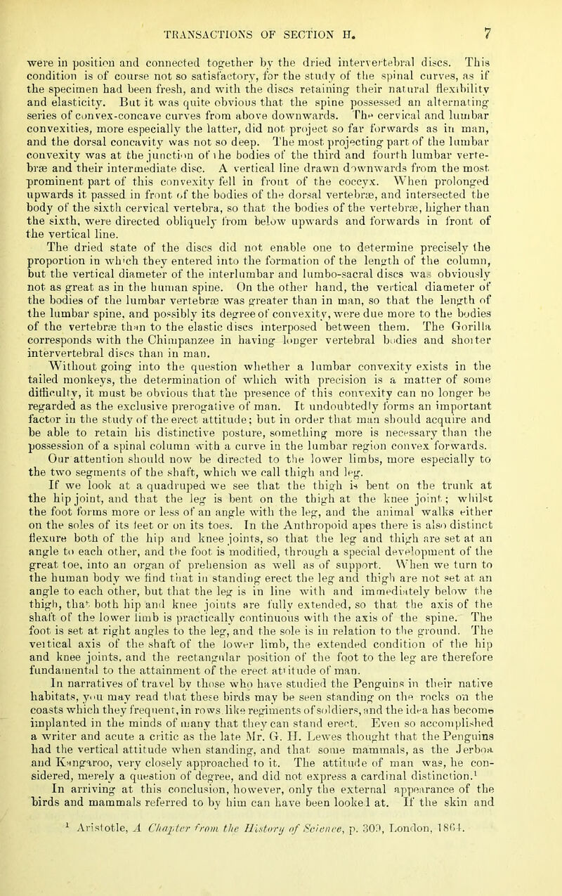 were in position and connected together by the dried interverte.bral discs. This condition is of course not so satisfactory, for the stmty of the spinal curves, as if the specimen had been fresh, and with the discs retaining their natural flexibility and elasticity. But it was quite obvious that the spine possessed an alternating series of convex-concave curves from above downwards. Tho cervical and lumbar convexities, more especially the latter, did not project so far forwards as in man, and the dorsal concavity was not so deep. The most projecting part of the lumbar convexity was at the junction of the bodies of the third and fourth lumbar verte- brae and their intermediate disc. A vertical line drawn downwards from the most prominent part of this convexity fell in front of the coccyx. When prolonged upwards it passed in front of the bodies of the dorsal vertebrae, and intersected the body of the sixth cervical vertebra, so that the bodies of the vertebrae, higher than the sixth, were directed obliquely from below upwards and forwards in front of the vertical line. The dried state of the discs did not enable one to determine precisely the proportion in wh'ch they entered into the formation of the length of the column, but the vertical diameter of the interlumbar and lumbo-sacral discs wa.s obviously not as great as in the human spine. On the other hand, the vertical diameter of the bodies of the lumbar vertebrae was greater than in man, so that the length of the lumbar spine, and possibly its degree of convexity, were due more to the bodies of the vertebrae than to the elastic discs interposed between them. The Oorilla corresponds with the Chimpanzee in having longer vertebral bodies and shoiter intervertebral di,«cs than in man. Without going into the question whether a lumbar convexity exists in the tailed monkeys, the determination of which with precision is a matter of some difliculty, it must be obvious that the presence of this convexity can no longer be regarded as the exclusive prerogalive of man. It undoubtedly forms an important factor in the study of the erect attitude; but in order that man should acquire and be able to retain bis distinctive posture, something more is necessary than the possession of a spinal column with a curve in the lumbar region convex forwards. Our attention should now be directed to the lower limbs, more especially to the two segments of the shaft, which we call thigh and leg. If we look at a quadruped we see that the thigh is bent on the trunk at the hip joint, and that the leg is bent on the thigh at the knee joint; whilst the foot forms more or less of an angle with the leg, and the animal walks either on the soles of its leet or on its toes. In the Anthropoid apes there is also distinct flexure both of the hip and knee joints, so that the leg and thigh are set at an angle to each other, and the foot is moditied, through a special development of the great toe, into an organ of prehension as well as of support. When we turn to the human body we find tliat in standing erect the leg and thigli ai’e not set at an angle to each other, but that the leg is in line with and immediately below' the thigh, that both hip and knee joints are fully extended, so that the axis of the shaft of the lower limb is practically continuous with the axis of the spine. The foot is set at right angles to the leg, and the sole is in relation to the ground. The vertical axis of the shaft of the lower limb, the extended condition of the hip and knee joints, and tire rectangular position of the foot to the leg are therefore fundamerrtal to the attainment of the erect at'itrrde of man. In narratives of travel by those who have studied the Penguins iir their native habitats, ynii may read that these birds may be seen standing on the rocks on the coasts which they frequent, in rows, like reginrerrts of soldiers, and the idra has becomo implanted in the minds of many that they can stand erect. Even so accomplished a writer and acute a ciitic as the late Mr. G. II. Lewes thought that the Penguins had the vertical attitude wdren starrding, and that some mammals, as the Jerboa and Kangaroo, very closely approached to it. The attitiule of man was, he con- sidered, merely a question of degree, and did not express a cardinal distinction.’ In arriving at this conclusion, however, only the external appearance of the birds and mammals referred to by him can have been looked at. If the skin and ’ Arislotle, A Chrqdrr -from the Illstnrij of t^cienre, p. ROh, London, 18(U.
