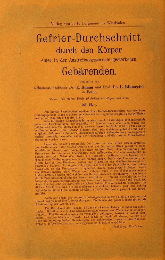 digitised image 2