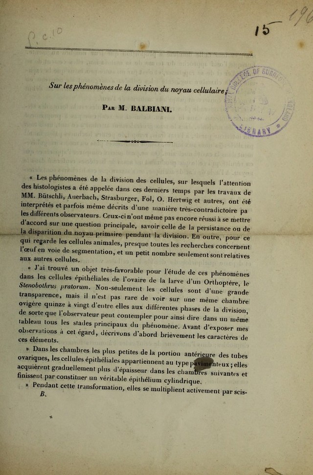 digitised image 3
