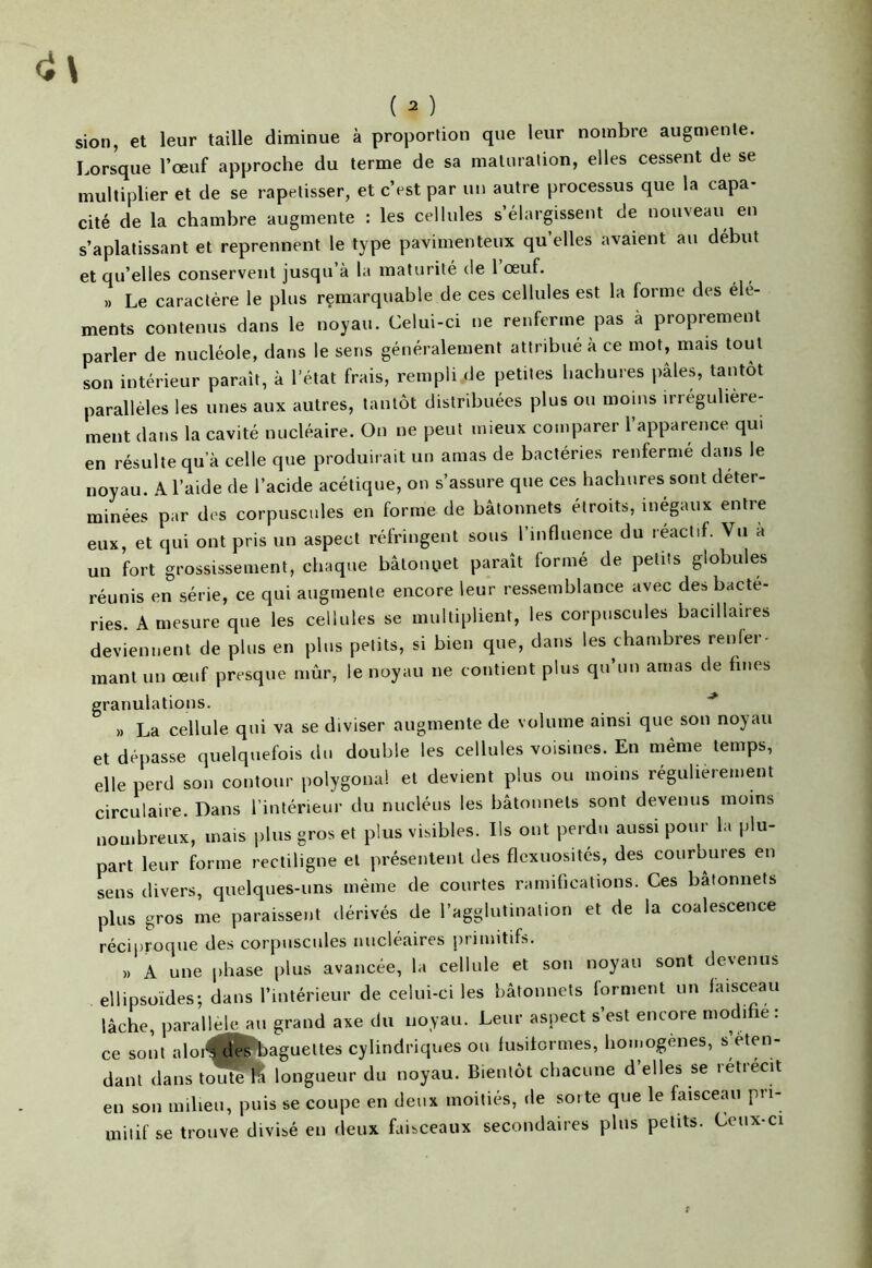 sion, et leur taille diminue à proportion que leur nombre augmente. Lorsque l’œuf approche du terme de sa maturation, elles cessent de se multiplier et de se rapetisser, et c’est par un autre processus que la capa- cité de la chambre augmente : les cellules s’élargissent de nouveau en s’aplatissant et reprennent le type pavimenteux qu’elles avaient au début et qu’elles conservent jusqu’à la maturité de 1 œuf. » Le caractère le plus remarquable de ces cellules est la forme des élé- ments contenus dans le noyau. Celui-ci ne renferme pas à proprement parler de nucléole, dans le sens généralement attribué à ce mot, mais tout son intérieur paraît, à l’état frais, rempli de petites hachures pâles, tantôt parallèles les unes aux autres, tantôt distribuées plus ou moins irrégulière- ment dans la cavité nucléaire. On ne peut mieux comparer 1 apparence qui en résulte qu’à celle que produirait un amas de bactéries renfermé dans le noyau. A l’aide de l’acide acétique, on s’assure que ces hachures sont déter- minées par des corpuscules en forme de bâtonnets étroits, inégaux entre eux, et qui ont pris un aspect réfringent sous l’influence du réactif. Vu a un fort grossissement, chaque bâtonnet paraît formé de petits globules réunis en série, ce qui augmente encore leur ressemblance avec des bacté- ries. A mesure que les cellules se multiplient, les corpuscules bacillaires deviennent de plus en plus petits, si bien que, dans les chambres renfer- mant un œuf presque mûr, le noyau ne contient plus qu’un amas de fines granulations. » La cellule qui va se diviser augmente de volume ainsi que son noyau et dépasse quelquefois du double les cellules voisines. En même temps, elle perd son contour polygonal et devient plus ou moins régulièrement circulaire. Dans l’intérieur du nucléus les bâtonnets sont devenus moins nombreux, mais plus gros et plus visibles. Ils ont perdu aussi pour la plu- part leur forme rectiligne et présentent des flexuosités, des courbures en sens divers, quelques-uns même de courtes ramifications. Ces bâtonnets plus gros me paraissent dérivés de l’agglutination et de la coalescence réciproque des corpuscules nucléaires primitifs. » a une phase plus avancée, la cellule et son noyau sont devenus ellipsoïdes; dans l’intérieur de celui-ci les bâtonnets forment un faisceau lâche, parallèle au grand axe du noyau. Leur aspect s’est encore modi îe : ce sont aloi^ des baguettes cylindriques on fusiformes, homogènes, s éten- dant dans toûtel longueur du noyau. Bientôt chacune d’elles se rétrécit en son milieu, puis se coupe en deux moitiés, de sorte que le faisceau pri- mitif se trouve divisé en deux faisceaux secondaires plus petits. Ceux-ci
