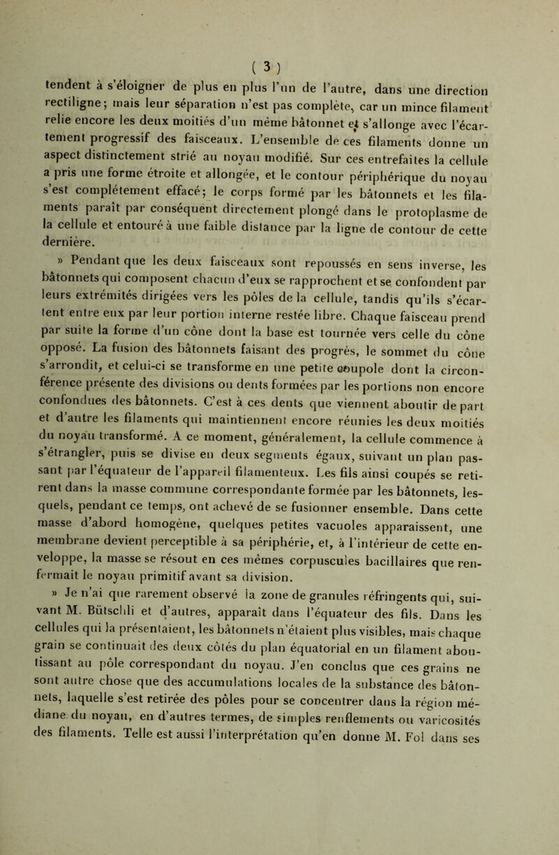 tendent à s’éloigner de plus en plus l’un de l’autre, dans une direction iectiligne ; mais leur séparation n’est pas complète, car un mince filament relie encore les deux moitiés d’un même bâtonnet et s’allonge avec l’écar- tement progressif des faisceaux. L’ensemble de ces filaments donne un aspect distinctement strié au noyau modifié. Sur ces entrefaites la cellule a pris une forme étroite et allongée, et le contour périphérique du noyau s est complètement effacé; le corps formé par les bâtonnets et les fila- ments paraît par conséquent directement plongé dans le protoplasme de la cellule et entouré à une faible distance par la ligne de contour de cette dernière. » Pendant que les deux faisceaux sont repoussés en sens inverse, les bâtonnets qui composent chacun d’eux se rapprochent et se confondent par leurs extrémités dirigées vers les pôles de la cellule, tandis qu’ils s’écar- tent entre eux par leur portion interne restée libre. Chaque faisceau prend par suite la forme d’un cône dont la base est tournée vers celle du cône opposé. La fusion des bâtonnets faisant des progrès, le sommet du cône s’arrondit, et celui-ci se transforme en une petite eOupole dont la circon- férence présente des divisions ou dents formées par les portions non encore confondues des bâtonnets. C’est à ces dents que viennent aboutir départ et d’autre les filaments qui maintiennent encore réunies les deux moitiés du noyau transformé. A ce moment, généralement, la cellule commence à s’étrangler, puis se divise en deux segments égaux, suivant un plan pas- sant par l’équateur de l’appareil filamenteux. Les fils ainsi coupés se reti- rent dans la masse commune correspondante formée par les bâtonnets, les- quels, pendant ce temps, ont achevé de se fusionner ensemble. Dans cette masse d’abord homogène, quelques petites vacuoles apparaissent, une membrane devient perceptible à sa périphérie, et, à l’intérieur de cette en- veloppe, la masse se résout en ces mêmes corpuscules bacillaires que ren- fermait le noyau primitif avant sa division. » Je n’ai que rarement observé la zone de granules réfringents qui, sui- vant M. Bütschli et d’autres, apparaît dans l’équateur des fils. Dans les cellules qui la présentaient, les bâtonnets n'étaient plus visibles, mais chaque grain se continuait des deux côtés du plan équatorial en un filament abou- tissant au pôle correspondant du noyau. J’en conclus que ces grains ne sont autre chose que des accumulations locales de la substance des bâton- nets, laquelle s’est retirée des pôles pour se concentrer dans la région mé- diane du noyau, en d autres termes, de simples renflements ou varicosités des filaments. Telle est aussi l’interprétation qu’en donne M. Fo! dans ses