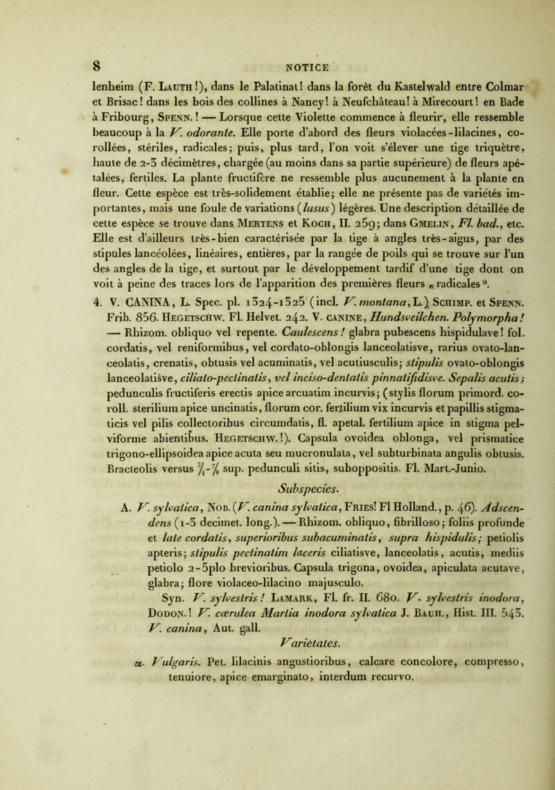 lenheim (F. Lauth!), dans le Palatinat! dans la forêt du Kastelwald entre Colmar et Brisac! dans les bois des collines à Nancy! à Neufchâteau! à Mirecourt! en Bade à Fribourg, Spenn. ! — Lorsque cette Violette commence à fleurir, elle ressemble beaucoup à la V, odorante. Elle porte d’abord des fleurs violacées-lilacines, co- rollées, stériles, radicales; puis, plus tard, l’on voit s’élever une tige triquètre, haute de 2-3 décimètres, chargée (au moins dans sa partie supérieure) de fleurs apé- talées, fertiles. La plante fructifère ne ressemble plus aucunement à la plante en fleur. Cette espèce est très-solidement établie; elle ne présente pas de variétés im- portantes, mais une foule de variations (lusus) légères. Une description détaillée de cette espèce se trouve dans Mertens et Koch, II. 25g; dans Gmelin, Fl. bad., etc. Elle est d’ailleurs très-bien caractérisée par la tige à angles très-aigus, par des stipules lancéolées, linéaires, entières, par la rangée de poils qui se trouve sur l’un des angles de la tige, et surtout par le développement tardif d’une tige dont on voit à peine des traces lors de l’apparition des premières fleurs «radicales”. 4. V. CANINA, L. Spec. pl. i324-i3>25 (incl. V. montana, L.) Schimp. et Spenn. Frib. 856. Hegetschw. Fl. Helvet. il±i. V. canine, Hundsveilchen. Polymorpha ! — Rhizom. obliquo vel repente. Caulescens ! glabra pubescens hispidulave ! fol. cordatis, vel reniformibus, vel cordato-oblongis lanceolatisve, rarius ovato-lan- ceolatis, crenatis, obtusis vel acuminatis, vel acutiusculis; stipulis ovato-oblongis lanceolatisve, ciliato-pectinatis, vel inciso-denlatis pinnatijidisve. Sepalis acutis; pedunculis fructiferis erectis apice arcuatim incurvis; (stylis florum primord. co- roll. sterilium apice uncinatis, florum cor. ferfllium vix incurvis et papillis stigma- ticis vel pilis collectoribus circumdatis, fl. apetal. fertilium apice in stigma pel- viforme abienlibus. Hegetsciiw.!). Capsula ovoidea oblonga, vel prismatice trigono-ellipsoidea apice acuta seu mucronulata, vel subturbinata angulis obtusis. Bracteolis versus %-)( sup. pedunculi sitis, suboppositis. Fl. Mart.-Junio. Subspecies- A. V. sylvatica, Nob. (V. canina sylvatica, Fries! Fl Holland., p. 46). Adscen- dens{i-3 decimet. long.). — Rhizom. obliquo, fibrilloso; foliis profunde et laie cordatis, superioribus subacuminatis, supra hispidulis; petiolis apteris; stipulis pectinatim laceris ciliatisve, lanceolatis, acutis, mediis petiolo 2-5plo brevioribus. Capsula trigona, ovoidea, apiculata acutave, glabra; flore violaceo-lilacino majusculo. Syn. V. sylvesiris ! Lamark, Fl. fr. II. 680. F- sylvesiris inodoray Dodon. ! V. cœrulea Marlia inodora sylvatica J. Bauh., Hist. III. 545. V. canina, Aut. gall. Vcirietates. et- Vulgciris. Pet. lilacinis angustioribus, calcare concolore, compresso, tenuiore, apice emarginato, interdum recurvo.