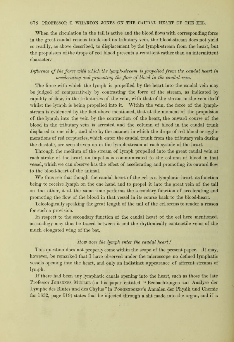 When the circulation in the tail is active and the blood flows with corresponding force in the great caudal venous trunk and its tributary vein, the blood-stream does not yield so readily, as above described, to displacement by the lymph-stream from the heart, but the propulsion of the drops of red blood presents a remittent rather than an intermittent character. Influence of the force with which the lymph-stream is propelled from the caudal heart in accelerating and promoting the flow of blood in the caudal vein. The force with which the lymph is propelled by the heart into the caudal vein may be judged of comparatively by contrasting the force of the stream, as indicated by rapidity of flow, in the tributaries of the vein, with that of the stream in the vein itself whilst the lymph is being propelled into it. Within the vein, the force of the lymph- stream is evidenced by the fact above mentioned, that at the moment of the propulsion of the lymph into the vein by the contraction of the heart, the onward course of the blood in the tributary vein is arrested and the column of blood in the caudal trunk displaced to one side; and also by the manner in which the drops of red blood or agglo- merations of red corpuscles, which enter the caudal trunk from the tributary vein during the diastole, are seen driven on in the lymph-stream at each systole of the heart. Through the medium of the stream of lymph propelled into the great caudal vein at each stroke of the heart, an impetus is communicated to the column of blood in that vessel, which we can observe has the effect of accelerating and promoting its onward flow to the blood-heart of the animal. We thus see that though the caudal heart of the eel is a lymphatic heart, its function being to receive lymph on the one hand and to propel it into the great vein of the tail on the other, it at the same time performs the secondary function of accelerating and promoting the flow of the blood in that vessel in its course back to the blood-heart. Teleologically speaking the great length of the tail of the eel seems to render a reason for such a provision. In respect to the secondary function of the caudal heart of the eel here mentioned, an analogy may thus be traced between it and the rhythmically contractile veins of the much elongated wing of the bat. IIow does the lymph enter the caudal heart ? This question does not properly come within the scope of the present paper. It may, however, be remarked that I have observed under the microscope no defined lymphatic vessels opening into the heart, and only an indistinct appearance of afferent streams of lymph. If there had been any lymphatic canals opening into the heart, such as those the late Professor Johannes Muller (in his paper entitled “ Beobachtungen zur Analyse der Lymphe des Blutes und des Chylus ” in Poggendorff’s Annalen der Physik und Chemie for 1832, page 519) states that he injected through a slit made into the organ, and if a