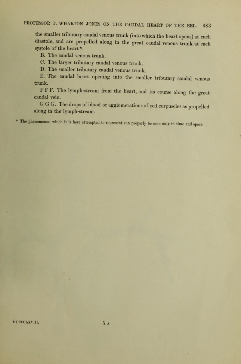 the smaller tributary caudal venous trunk (into which the heart opens) at each diastole, and are propelled along in the great caudal venous trunk at each systole of the heart*. B. The caudal venous trunk. C. The larger tributary caudal venous trunk. D. The smaller tributary caudal venous trunk. E. The caudal heart opening into the smaller tributary caudal venous trunk. F F F. The lymph-stream from the heart, and its course along the great caudal vein. G G G. The drops of blood or agglomerations of red corpuscles as propelled along in the lymph-stream. * The Phenomenon ■which it 13 here attempted to represent can properly be seen only in time and space. 5 A MDCCCLXVIir.
