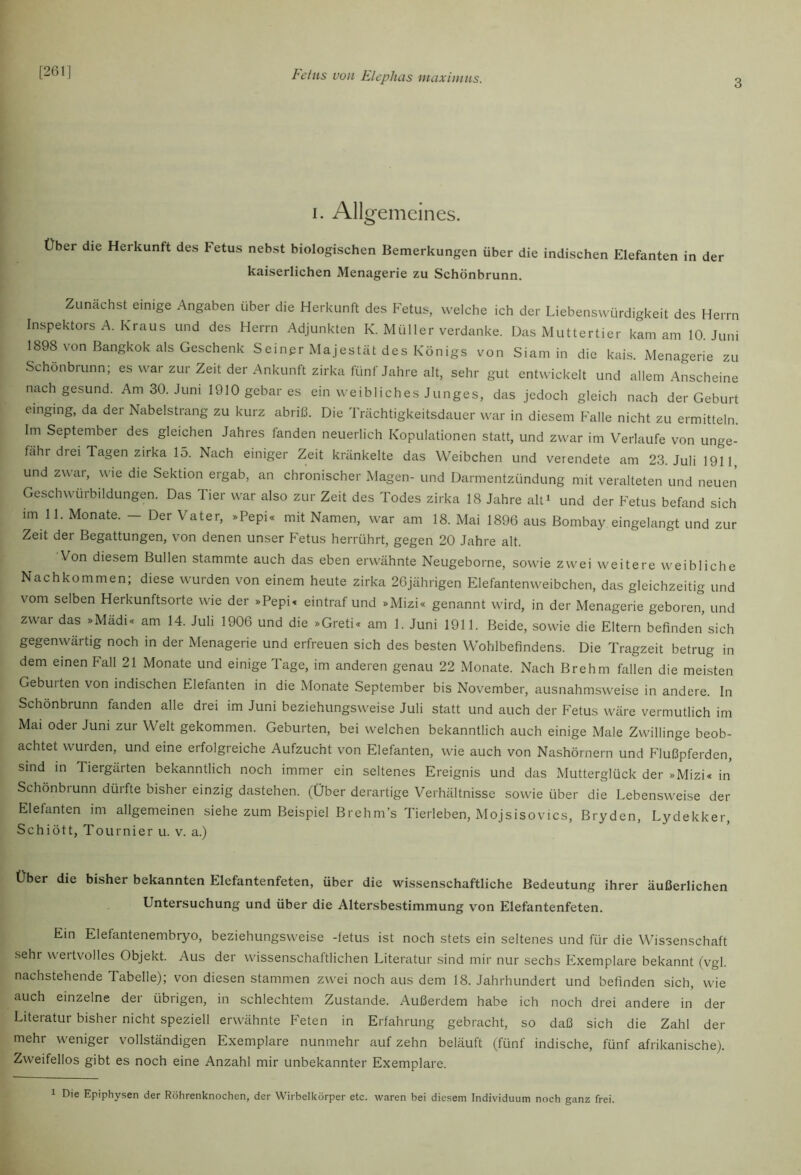[261] 3 I. Allgemeines. über die Herkunft des Fetus nebst biologischen Bemerkungen über die indischen Elefanten in der kaiserlichen Menagerie zu Schönbrunn. Zunächst einige Angaben über die Herkunft des Fetus, welche ich der Liebenswürdigkeit des Herrn Inspektors A. Kraus und des Herrn Adjunkten K. Müller verdanke. Das Muttertier kam am 10. Juni 1898 von Bangkok als Geschenk Seiner Majestät des Königs von Siam in die kais. Menagerie zu Schönbrunn; es war zur Zeit der Ankunft zirka fünf Jahre alt, sehr gut entwickelt und allem Anscheine nach gesund. Am 30. Juni 1910 gebar es ein weibliches Junges, das jedoch gleich nach der Geburt einging, da der Nabelstrang zu kurz abriß. Die Trächtigkeitsdauer war in diesem Falle nicht zu ermitteln. Im September des gleichen Jahres fanden neuerlich Kopulationen statt, und zwar im Verlaufe von unge- fähi drei Tagen zirka 15. Nach einiger Zeit kränkelte das Weibchen und verendete am 23. Juli 1911, und zwar, wie die Sektion ergab, an chronischer Magen- und Darmentzündung mit veralteten und neuen Geschwürbildungen. Das Tier war also zur Zeit des Todes zirka 18 Jahre alt^ und der Fetus befand sich im 11. Monate. — Der Vater, »Pepi« mit Namen, war am 18. Mai 1896 aus Bombay eingelangt und zur Zeit der Begattungen, von denen unser Fetus herrührt, gegen 20 Jahre alt. Von diesem Bullen stammte auch das eben erwähnte Neugeborne, sowie zwei weitere weibliche Nachkommen; diese wurden von einem heute zirka 26jährigen Elefantenweibchen, das gleichzeitig und vom selben Herkunftsorte wie der »Pepi« eintraf und »Mizi« genannt wird, in der Menagerie geboren, und zwar das »Mädi« am 14. Juli 1906 und die »Greti« am 1. Juni 1911. Beide, sowie die Eltern befinden sich gegenwärtig noch in der Menagerie und erfreuen sich des besten Wohlbefindens. Die Tragzeit betrug in dem einen Fall 21 Monate und einige Tage, im anderen genau 22 Monate. Nach Brehm fallen die meisten Geburten von indischen Elefanten in die Monate September bis November, ausnahmsweise in andere. In Schonbrunn fanden alle drei im Juni beziehungsweise Juli statt und auch der Fetus wäre vermutlich im Mai oder Juni zur Welt gekommen. Geburten, bei welchen bekanntlich auch einige Male Zwillinge beob- achtet wurden, und eine erfolgreiche Aufzucht von Elefanten, wie auch von Nashörnern und Flußpferden, sind m Tiergärten bekanntlich noch immer ein seltenes Ereignis und das Mutterglück der »Mizi« in Schönbiunn dürfte bisher einzig dastehen. (Über derartige Verhältnisse sowie über die Lebensweise der Elefanten im allgemeinen siehe zum Beispiel Brehm’s Tierleben, Mojsisovics, Bryden, Lydekker, Schiött, Tournier u. v. a.) Über die bisher bekannten Elefantenfeten, über die wissenschaftliche Bedeutung ihrer äußerlichen Untersuchung und über die Altersbestimmung von Elefantenfeten. Ein Elefantenembryo, beziehungsweise -letus ist noch stets ein seltenes und für die Wissenschaft sehr wertvolles Objekt. Aus der wissenschaftlichen Literatur sind mir nur sechs Exemplare bekannt (vgl. nachstehende Tabelle); von diesen stammen zwei noch aus dem 18. Jahrhundert und befinden sich, wie auch einzelne der übrigen, in schlechtem Zustande. Außerdem habe ich noch drei andere in der Literatur bisher nicht speziell erwähnte Feten in Erfahrung gebracht, so daß sich die Zahl der mehr weniger vollständigen Exemplare nunmehr auf zehn beläuft (fünf indische, fünf afrikanische). Zweifellos gibt es noch eine Anzahl mir unbekannter Exemplare. 1 Die Epiphysen der Röhrenknochen, der Wirbelkörper etc. waren bei diesem Individuum noch ganz frei.