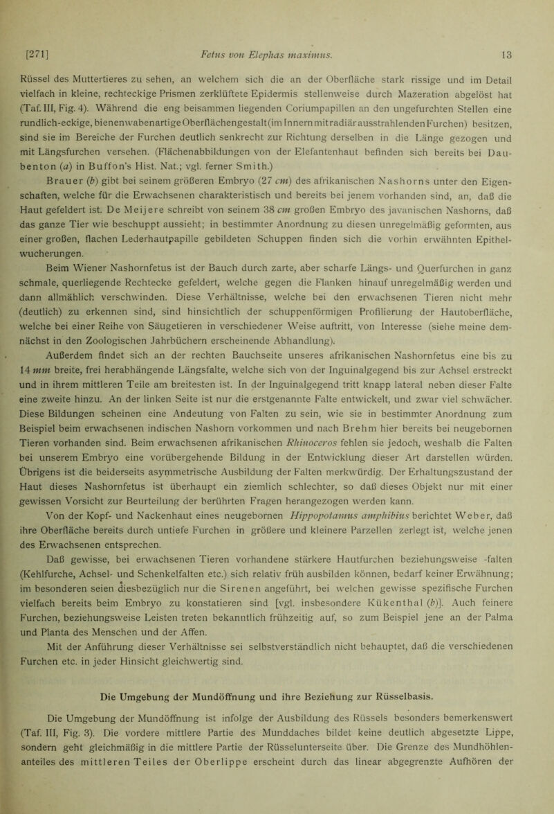 Rüssel des Muttertieres zu sehen, an welchem sich die an der Oberfläche stark rissige und im Detail vielfach in kleine, rechteckige Prismen zerklüftete Epidermis stellenweise durch Mazeration abgelöst hat (Taf. III, Fig. 4). Während die eng beisammen liegenden Coriumpapillen an den ungefurchten Stellen eine rundlich-eckige, bienenwabenartige Oberflächengestalt (im Innern mit radiär ausstrahlenden P'urchen) besitzen, sind sie im Bereiche der Furchen deutlich senkrecht zur Richtung derselben in die Länge gezogen und mit Längsfurchen versehen. (Flächenabbildungen von der Elefantenhaut befinden sich bereits bei Dau- benton {a) in Buffon’s Hist. Nat.; vgl. ferner Smith.) Brauer (h) gibt bei seinem größeren Embryo (27 cm) des afrikanischen Nashorns unter den Eigen- schaften, welche für die Erwachsenen charakteristisch und bereits bei jenem vorhanden sind, an, daß die Haut gefeldert ist. De Meijere schreibt von seinem 38 cm großen Embryo des javanischen Nashorns, daß das ganze Tier wie beschuppt aussieht; in bestimmter Anordnung zu diesen unregelmäßig geformten, aus einer großen, flachen Lederhautpapille gebildeten Schuppen finden sich die vorhin erwähnten Epithel- wucherungen. Beim Wiener Nashornfetus ist der Bauch durch zarte, aber scharfe Längs- und Querfurchen in ganz schmale, querliegende Rechtecke gefeldert, welche gegen die Planken hinauf unregelmäßig werden und dann allmählich verschwinden. Diese Verhältnisse, welche bei den erwachsenen Tieren nicht mehr (deutlich) zu erkennen sind, sind hinsichtlich der schuppenförmigen Profilierung der Hautoberfläche, welche bei einer Reihe von Säugetieren in verschiedener Weise auftritt, von Interesse (siehe meine dem- nächst in den Zoologischen Jahrbüchern erscheinende Abhandlung). Außerdem findet sich an der rechten Bauchseite unseres afrikanischen Nashornfetus eine bis zu \4mm breite, frei herabhängende Längsfalte, welche sich von der Inguinalgegend bis zur Achsel erstreckt und in ihrem mittleren Teile am breitesten ist. In der Inguinalgegend tritt knapp lateral neben dieser Falte eine zweite hinzu. An der linken Seite ist nur die erstgenannte Falte entwickelt, und zwar viel schwächer. Diese Bildungen scheinen eine Andeutung von Falten zu sein, wie sie in bestimmter Anordnung zum Beispiel beim erwachsenen indischen Nashorn Vorkommen und nach Brehm hier bereits bei neugebornen Tieren vorhanden sind. Beim erwachsenen afrikanischen Rhinoceros fehlen sie jedoch, weshalb die Falten bei unserem Embryo eine vorübergehende Bildung in der Entwicklung dieser Art darstellen würden. Übrigens ist die beiderseits asymmetrische Ausbildung der Falten merkwürdig. Der Erhaltungszustand der Haut dieses Nashornfetus ist überhaupt ein ziemlich schlechter, so daß dieses Objekt nur mit einer gewissen Vorsicht zur Beurteilung der berührten Fragen herangezogen werden kann. Von der Kopf- und Nackenhaut eines neugebornen Hippopotamus amphibius hevichtet Weber, daß ihre Oberfläche bereits durch untiefe Furchen in größere und kleinere Parzellen zerlegt ist, welche jenen des Erwachsenen entsprechen. Daß gewisse, bei erwachsenen Tieren vorhandene stärkere Hautfurchen beziehungsweise -falten (Kehlfurche, Achsel- und Schenkelfalten etc.) sich relativ früh ausbilden können, bedarf keiner Erwähnung; im besonderen seien diesbezüglich nur die Sirenen angeführt, bei welchen gewisse spezifische Furchen vielfach bereits beim Embryo zu konstatieren sind [vgl. insbesondere Kükenthal (^)J. Auch feinere Furchen, beziehungsweise Leisten treten bekanntlich frühzeitig auf, so zum Beispiel jene an der Palma und Planta des Menschen und der Affen. Mit der Anführung dieser Verhältnisse sei selbstverständlich nicht behauptet, daß die verschiedenen Furchen etc. in jeder Hinsicht gleichwertig sind. Die Umgebung der Mundöffnung und ihre Beziehung zur Rüsselbasis. Die Umgebung der Mundöffnung ist infolge der Ausbildung des Rüssels besonders bemerkenswert (Taf. III, Fig. 3). Die vordere mittlere Partie des Munddaches bildet keine deutlich abgesetzte Lippe, sondern geht gleichmäßig in die mittlere Partie der Rüsselunterseite über. Die Grenze des Mundhöhlen- anteiles des mittleren Teiles der Oberlippe erscheint durch das linear abgegrenzte Aufhören der