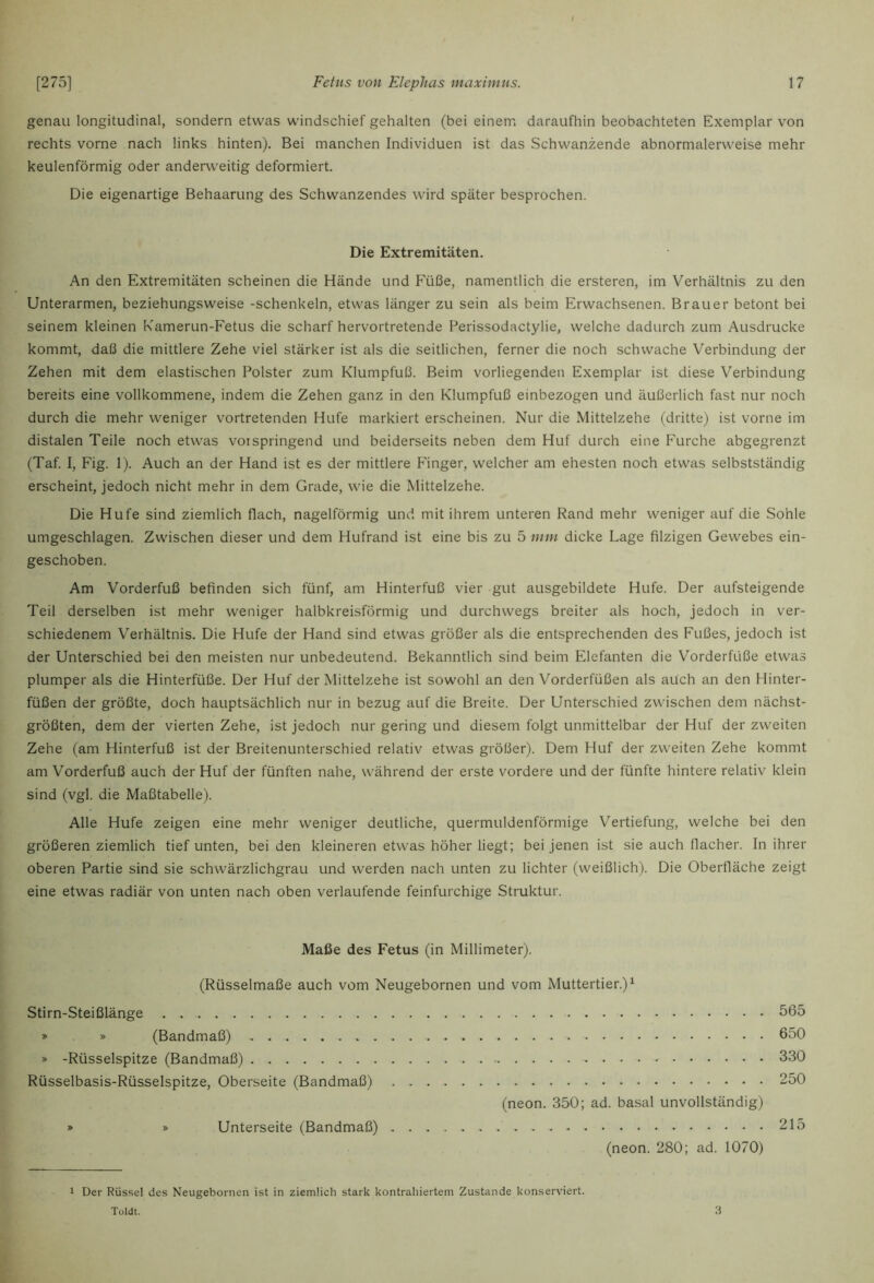 genau longitudinal, sondern etwas windschief gehalten (bei einem daraufhin beobachteten Exemplar von rechts vorne nach links hinten). Bei manchen Individuen ist das Schwanzende abnormalerweise mehr keulenförmig oder anderweitig deformiert. Die eigenartige Behaarung des Schwanzendes wird später besprochen. Die Extremitäten. An den Extremitäten scheinen die Hände und Füße, namentlich die ersteren, im Verhältnis zu den Unterarmen, beziehungsweise -Schenkeln, etwas länger zu sein als beim Erwachsenen. Brauer betont bei seinem kleinen Kamerun-Fetus die scharf hervortretende Perissodactylie, welche dadurch zum Ausdrucke kommt, daß die mittlere Zehe viel stärker ist als die seitlichen, ferner die noch schwache Verbindung der Zehen mit dem elastischen Polster zum Klumpfuß. Beim vorliegenden Exemplar ist diese Verbindung bereits eine vollkommene, indem die Zehen ganz in den Klumpfuß einbezogen und äußerlich fast nur noch durch die mehr weniger vortretenden Hufe markiert erscheinen. Nur die Mittelzehe (dritte) ist vorne im distalen Teile noch etwas votspringend und beiderseits neben dem Huf durch eine Furche abgegrenzt (Taf. I, Fig. 1). Auch an der Hand ist es der mittlere Finger, welcher am ehesten noch etwas selbstständig erscheint, jedoch nicht mehr in dem Grade, wie die Mittelzehe. Die Hufe sind ziemlich flach, nagelförmig und mit ihrem unteren Rand mehr weniger auf die Sohle umgeschlagen. Zwischen dieser und dem Hufrand ist eine bis zu 5 mm dicke Lage filzigen Gewebes ein- geschoben. Am Vorderfuß befinden sich fünf, am Hinterfuß vier gut ausgebildete Hufe. Der aufsteigende Teil derselben ist mehr weniger halbkreisförmig und durchwegs breiter als hoch, jedoch in ver- schiedenem Verhältnis. Die Hufe der Hand sind etwas größer als die entsprechenden des Fußes, jedoch ist der Unterschied bei den meisten nur unbedeutend. Bekanntlich sind beim Elefanten die Vorderfüße etwas plumper als die Hinterfüße. Der Huf der Mittelzehe ist sowohl an den Vorderfüßen als aüch an den Hinter- füßen der größte, doch hauptsächlich nur in bezug auf die Breite. Der Unterschied zwischen dem nächst- größten, dem der vierten Zehe, ist jedoch nur gering und diesem folgt unmittelbar der Huf der zweiten Zehe (am Hinterfuß ist der Breitenunterschied relativ etwas größer). Dem Huf der zweiten Zehe kommt am Vorderfuß auch der Huf der fünften nahe, während der erste vordere und der fünfte hintere relativ klein sind (vgl. die Maßtabelle). Alle Hufe zeigen eine mehr weniger deutliche, quermuldenförmige V^ertiefung, welche bei den größeren ziemlich tief unten, beiden kleineren etwas höher liegt; bei jenen ist sie auch flacher. In ihrer oberen Partie sind sie schwärzlichgrau und werden nach unten zu lichter (weißlich). Die Oberfläche zeigt eine etwas radiär von unten nach oben verlaufende feinfurchige Struktur. Maße des Fetus (in Millimeter). (Rüsselmaße auch vom Neugebornen und vom Muttertier.)^ Stirn-Steißlänge » » (Bandmaß) » -Rüsselspitze (Bandmaß) Rüsselbasis-Rüsselspitze, Oberseite (Bandmaß) » » Unterseite (Bandmaß) (neon. 350; ad. basal unvollständig) (neon. 280; ad. 1070) 565 650 330 250 215 1 Der Rüssel des Neugebornen ist in ziemlich stark kontrahiertem Zustande konserviert. Toldt. 3