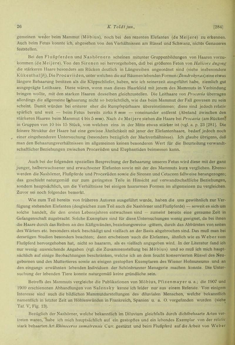 gemeinen weder beim Mammut (Möbius), noch bei den rezenten Elefanten (deMeijere) zu erkennen. Auch beim Fetus konnte ich, abgesehen von den Verhältnissen am Rüssel und Schwanz, nichts Genaueres feststellen. Bei den Flußpferden und Nashörnern scheinen mitunter Gruppenbildungen von Haaren vorzu- kommen (de Meijere). Von den Sirenen sei hervorgehoben, daß bei größeren F'eten von Halicore diigong die stärkeren Haare besonders am Rücken deutlich in Längsreihen angeordnet sind (siehe insbesondere Kükenthal \b\). Die Procaviiden, unter welchen die auf Bäumen lebenden Formen {Dendroliyrax) eine etwas längere Behaarung besitzen als die Klippschliefer, haben, wie ich seinerzeit ausgeführt habe, ziemlich gut ausgeprägte Leithaare. Diese wären, wenn man dieses Haarkleid mit jenem des Mammuts in Verbindung bringen wollte, mit den starken Haaren desselben gleichzustellen. Die Leithaare von Procavia überragen allerdings die allgemeine Behaarung nicht so beträchtlich, wie das beim Mammut der Fall gewesen zu sein scheint. Damit würden bei ersterer eher die Rumpfspürhaare übereinstimmen; diese sind jedoch relativ spärlich und weit -— beim Fetus bereits zirka 8 mm — voneinander entfernt (Abstand zwischen den stärkeren Haaren beim Mammut 4 bis 5 mm). Nach de Meijere stehen die Haare bei Procavia (am Rücken) in Gruppen von 10 bis 15 Stück, von welchen eins in der Mitte etwas stärker ist (vgl. a. p. 23 [281]. Die feinere Struktur der Haare hat eine gewisse Ähnlichkeit mit jener der Elefantenhaare, bedarf jedoch noch einer eingehenderen Untersuchung (besonders bezüglich der Markverhältnisse). Ich glaube übrigens, daß man den Behaarungsverhältnissen im allgemeinen keinen besonderen Wert für die Beurteilung verwandt- schaftlicher Beziehungen zwischen Procaviiden und Elephantiden beimessen kann. Auch bei der folgenden speziellen Besprechung der Behaarung unseres Fetus wird diese mit der ganz junger, halberwachsener und erwachsener Elefanten sowie mit der des Mammuts kurz verglichen. Ebenso werden die Nashörner, Flußpferde und Procaviiden sowie die Sirenen und Cetaceen fallweise herangezogen; das geschieht naturgemäß nur zum geringsten Teile in Hinsicht auf verwandtschaftliche Beziehungen, sondern hauptsächlich, um die Verhältnisse bei einigen haararmen Formen im allgemeinen zu vergleichen. Zuvor sei noch folgendes bemerkt. Wie zum Teil bereits von früheren Autoren ausgeführt wurde, haben die uns gewöhnlich zur Ver- fügung stehenden Elefanten (desgleichen zum Teil auch die Nashörner und Flußpferde) — soweit es sich um solche handelt, die den ersten Lebensjahren entwachsen sind — zumeist bereits eine geraume Zeit in Gefangenschaft zugebracht. Solche Exemplare sind für diese Untersuchungen wenig geeignet, da bei ihnen die Haare durch das Reiben an den Käfigwänden, beziehungsweise -gittern, durch das Abbürsten von seiten des Wärters etc. besonders stark beschädigt und vielfach an der Basis abgebrochen sind. Das muß man bei derartigen Studien besonders beachten; dann erscheinen auch die Elefanten, ähnlich wie es Weber vom Flußpferd hervorgehoben hat, nicht so haararm, als es vielfach angegeben wird. In der Literatur fand ich nur wenig ausreichende Angaben (vgl. die Zusammenstellung bei Möbius) und so muß ich mich haupt- sächlich auf einige Beobachtungen beschränken, welche ich an dem feucht konservierten Rüssel des Neu- gebornen und des Muttertieres sowie an einigen gestopften Exemplaren des Wiener Hofmuseums und an den eingangs erwähnten lebenden Individuen der Schönbrunner Menagerie machen konnte. Die Unter- suchung der lebenden Tiere konnte naturgemäß keine gründliche sein. Betreffs des Mammuts vergleiche die Publikationen von Möbius, Pfizenmayer u. a.; die 1907 und 1909 erschienenen Abhandlungen von Sälensky kenne ich leider nur aus einem Referate. Von einigem Interesse sind auch die bildlichen Mammutdarstellungen des diluvialen Menschen, welche bekanntlich namentlich in letzter Zeit an Höhlenwänden in Frankreich, Spanien u. a. O. vorgefunden wurden (siehe Taf. V, Fig. 13). Bezüglich der Nashörner, welche bekanntlich im Diluvium gleichfalls durch dichtbehaarte Arten ver- treten waren, habe ich mich hauptsächlich auf ein gestopftes und ein lebendes Exemplar von der relativ stark behaarten Art siimatrensis Cuv. gestützt und beim Flußpferd auf die Arbeit von Weber
