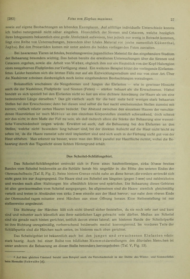 sowie auf eigene Beobachtungen an lebenden Exemplaren. Auf allfällige individuelle Unterschiede konnte ich hiebei naturgemäß nicht näher eingehen. Hinsichtlich der Sirenen und Cetaceen, welche bezüglich ihres Integuments bekanntlich eine große Ähnlichkeit aufweisen, hier jedoch nur wenig in Betracht kommen, liegt eine Reihe von Untersuchungen, besonders über fetales Material vor (siehe namentlich Kükenthal, Jap ha). Bei den Procaviiden kamen mir unter andern die beiden vorliegenden Feten zustatten. Bei haararm^n Tieren ist fetales, beziehungsweise jugendliches Material für das eingehendere Studium der Behaarung besonders wichtig. Das haben bereits die erwähnten Untersuchungen über die Sirenen und Cetaceen ergeben, sowie die Arbeit von Weber, obgleich ihm nur ein Hautstück von der Kopf-Halsregion eines neugebornen Flußpferdes zur Verfügung stand. Ein weiteres Beispiel bildet der vorliegende Elefanten- fetus. Leider beziehen sich die letzten Fälle nur auf ein Entwicklungsstadium und nur von einer Art. Über die Nashörner scheinen diesbezüglich noch keine eingehenderen Beobachtungen vorzuliegen. Bekanntlich erscheinen die Neugebornen und Jungen der Elefanten — wie in gewisser Hinsicht auch die der Nashörner, Flußpferde und Sirenen (Feten) — stärker behaart als die Erwachsenen. Hiebei handelt es sich speziell bei den Elefanten nicht so fast um eine dichtere Anordnung der Haare als um eine bedeutendere Länge derselben.^ Das gilt vielfach auch für die bald mehr bald weniger stark behaarten Stellen bei den Erwachsenen; denn bei diesen sind selbst die fast nackt erscheinenden Stellen zumeist mit kurzen, vielfach relativ zarten Haaren bedeckt. Der Abstand zwischen den einzelnen Haaren der verschie- denen Haarstärken ist nach Möbius an den einzelnen Körperstellen ziemlich schwankend, doch scheint mir das nicht in dem Maße der Fall zu sein, als daß dadurch allein die Stärke der Behaarung eine wesent- liche Verschiedenheit zeigen würde. Erwähnt sei auch, daß die Behaarung bei den Elefanten an den Stellen, welche nicht besonders lang behaart sind, bei der direkten Aufsicht auf die Haut nicht leicht zu sehen ist, da die Haare zumeist sehr steil implantiert sind und sich auch in der Färbung nicht gut von der Haut abheben. Man erkennt sie besser, wenn man den Blick parallel zur Hautfläche richtet, wobei die Be- haarung durch das Tageslicht einen lichten Hintergrund erhält. Das Scheitel-Schläfengebiet. Das Scheitel-Schläfengebiet erstreckt sich in Form eines haubenförmigen, zirka bOmm breiten Bandes vom Scheitel beiderseits an die Schläfe herab bis ungefähr in die Höhe des unteren Endes der Ohrmuschelbasis (Taf. II, Fig. 2). Seine hintere Grenze reicht nahe an diese heran; die vordere erstreckt sich nicht ganz bis zur Augengegend. Die Haare sind am Scheitel am längsten (gegen 5 mm) und zahlreichsten und werden nach allen Richtungen hin allmählich kürzer und spärlicher. Die Behaarung dieses Gebietes ist also gewissermaßen vom Scheitel ausgegangen. Im allgemeinen sind die Haare ziemlich gleichmäßig verteilt und treten in Abständen von zirka 2 mm einzeln aus der Haut hervor; nur nahe dem oberen Ende der Ohrmuschel ragen mitunter zwei Härchen aus einer Öffnung heraus. Eine Reihenstellung ist nur stellenweise angedeutet. Die Richtung der Härchen läßt sich nicht überall sicher feststellen, da sie noch sehr zart und kurz sind und mitunter auch künstlich aus ihrer natürlichen Lage gebracht sein dürften. Median am Scheitel sind sie gerade nach hinten gerichtet, seitlich davon etwas lateral; am hinteren Rande der Scheitelpartie ist ihre Richtung unregelmäßig, vorherrschend beiderseits medial konvergierend. Im vorderen Teile der Schläfepartie sind die Härchen nach unten, im hinteren nach oben gerichtet. Das Scheitelgebiet ist bekanntlich auch bei den jungen und erwachsenen Elefanten relativ stark haarig. Auch bei einer Reihe von bildlichen Mammutdarstellungen des diluvialen Menschen ist unter anderem die Behaarung an dieser Stelle besonders hervorgehoben (Taf. V, Fig. 13). 1 Auf dem gleichen Umstand beruht zum Beispiel auch die Verschiedenheit in der Dichte des Winter- und Sommerfelles beim Hermelin (Schwalbe [<?[).