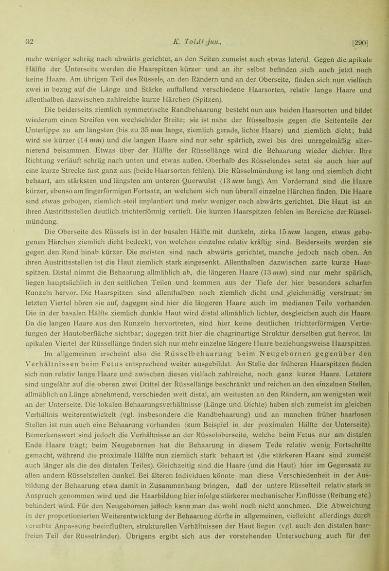 mehr weniger schräg nach abwärts gerichtet, an den Seiten zumeist auch etwas lateral. Gegen die apikale Hälfte der Unterseite werden die Haarspitzen kürzer und an ihr selbst befinden .sich auch jetzt noch keine Haare. Am übrigen Teil des Rüssels, an den Rändern und an der Oberseite, finden sich nun vielfach zwei in bezug auf die Länge und Stärke auffallend verschiedene Haarsorten, relativ lange Haare und allenthalben dazwischen zahlreiche kurze Härchen (Spitzen). Die beiderseits ziemlich symmetrische Randbehaarung besteht nun aus beiden Haarsorten und bildet wiederum einen Streifen von wechselnder Breite; sie ist nahe der Rüsselbasis gegen die Seitenteile der Unterlippe zu am längsten (bis zu 35 lange, ziemlich gerade, lichte Haare) und ziemlich dicht; bald wird sie kürzer (14 mw) und die langen Haare sind nur sehr spärlich, zwei bis drei unregelmä.fiig alter- nierend beisammen. Etwas über der Hälfte der Rüssellänge wird die Behaarung wieder dichter. Ihre Richtung verläuft schräg nach unten und etwas außen. Oberhalb des Rüsselendes setzt sie auch hier auf eine kurze Strecke fast ganz aus (beide Haarsorten fehlen). Die Rüsselmündung ist lang und ziemlich dicht behaart, am stärksten und längsten am unteren Querwulst (13 r«;« lang). Am Vorderrand sind die Haare kürzer, ebenso am fingerförmigen Fortsatz, an welchem sich nun überall einzelne Härchen finden. Die Haare sind etwas gebogen, ziemlich steil implantiert und mehr weniger nach abwärts gerichtet. Die Haut ist an ihren Austrittsstellen deutlich trichterförmig vertieft. Die kurzen Haarspitzen fehlen im Bereiche der Rüssel- mündung. Die Oberseite des Rüssels ist in der basalen Hälfte mit dunkeln, zirka X'bmni langen, etwas gebo- genen Härchen ziemlich dicht bedeckt, von welchen einzelne relativ kräftig sind. Beiderseits werden sie gegen den Rand hinab kürzer. Die meisten sind nach abwärts gerichtet, manche jedoch nach oben. An ihren Austrittsstellen ist die Haut ziemlich stark eingesenkt. Allenthalben dazwischen zarte kurze Haar- spitzen. Distal nimmt die Behaarung allm.ählich ab, die längeren Haare (IS;;/;//) sind nur mehr spärlich, liegen hauptsächlich in den seitlichen Teilen und kommen aus der Tiefe der hier besonders scharfen Runzeln hervor. Die Haarspitzen sind allenthalben noch ziemlich dicht und gleichmäßig verstreut;- im letzten Viertel hören sie auf, dagegen sind hier die längeren Haare auch im medianen Teile vorhanden. Die in der basalen Hälfte ziemlich dunkle Haut wird distal allmählich lichter, desgleichen auch die Haare. Da die langen Haare aus den Runzeln hervortreten, sind hier keine deutlichen trichterförmigen Vertie- fungen der Hautoberfläche sichtbar; dagegen tritt hier die chagrinartige Struktur derselben gut hervor. Im apikalen Viertel der Rüssellänge finden sich nur mehr einzelne längere Haare beziehungsweise Haarspitzen. Im allgemeinen erscheint also die Rüsselbehaarung beim Neugebornen gegenüber den Verhältnissen beim Fetus entsprechend weiter ausgebildet. An Stelle der früheren Haarspitzen finden sich nun relativ lange Haare und zwischen diesen vielfach zahlreiche, noch ganz kurze Haare. Letztere sind ungefähr auf die oberen zwei Drittel der Rüssellänge beschränkt und reichen an den einzelnen Stellen, allmählich an Länge abnehmend, verschieden weit distal, am weitesten an den Rändern, am wenigsten weit an der Unterseite. Die lokalen Behaarungsverhältnisse (Länge und Dichte) haben sich zumeist im gleichen Verhältnis weiterentwickelt (vgl. insbesondere die Randbehaarung) und an manchen früher haarlosen Stellen ist nun auch eine Behaarung vorhanden (zum Beispiel in der proximalen Hälfte der Unterseite). Bemerkenswert sind jedoch die Verhältnisse an der Rüsseloberseite, welche beim Fetus nur am distalen Ende Haare trägt; beim Neugebornen hat die Behaarung in diesem Teile relativ wenig Fortschritte gemacht, während die proximale Hälfte nun ziemlich stark behaart ist (die stärkeren Haare sind zumeist auch länger als die des distalen Teiles). Gleichzeitig sind die Haare (und die Haut) hier im Gegensatz zu allen andern Rüsselstellen dunkel. Bei älteren Individuen könnte man diese Verschiedenheit in der Aus- bildung der Behaarung etwa damit in Zusammenhang bringen, daß der untere Rüsselteil i'elativ stark in Anspruch genommen wird und die Haarbildung hier infolge stärkerer mechanischer Einflüsse (Reibung etc.) behindert wird. P'ür den Neugebornen jedoch kann man das wohl noch nicht annchmen. Die Abweichung in der proportionierten Weiterentwicklung der Behaarung dürfte in allgemeinen, vielleicht allerdings durch vererbte Anpassung beeinflußten, strukturellen Verhältnissen der Haut liegen (vgl. auch den distalen haar- freien Teil der Rüsselränder), Übrigens ergibt sich aus der vorstehenden Untersuchung auch für den
