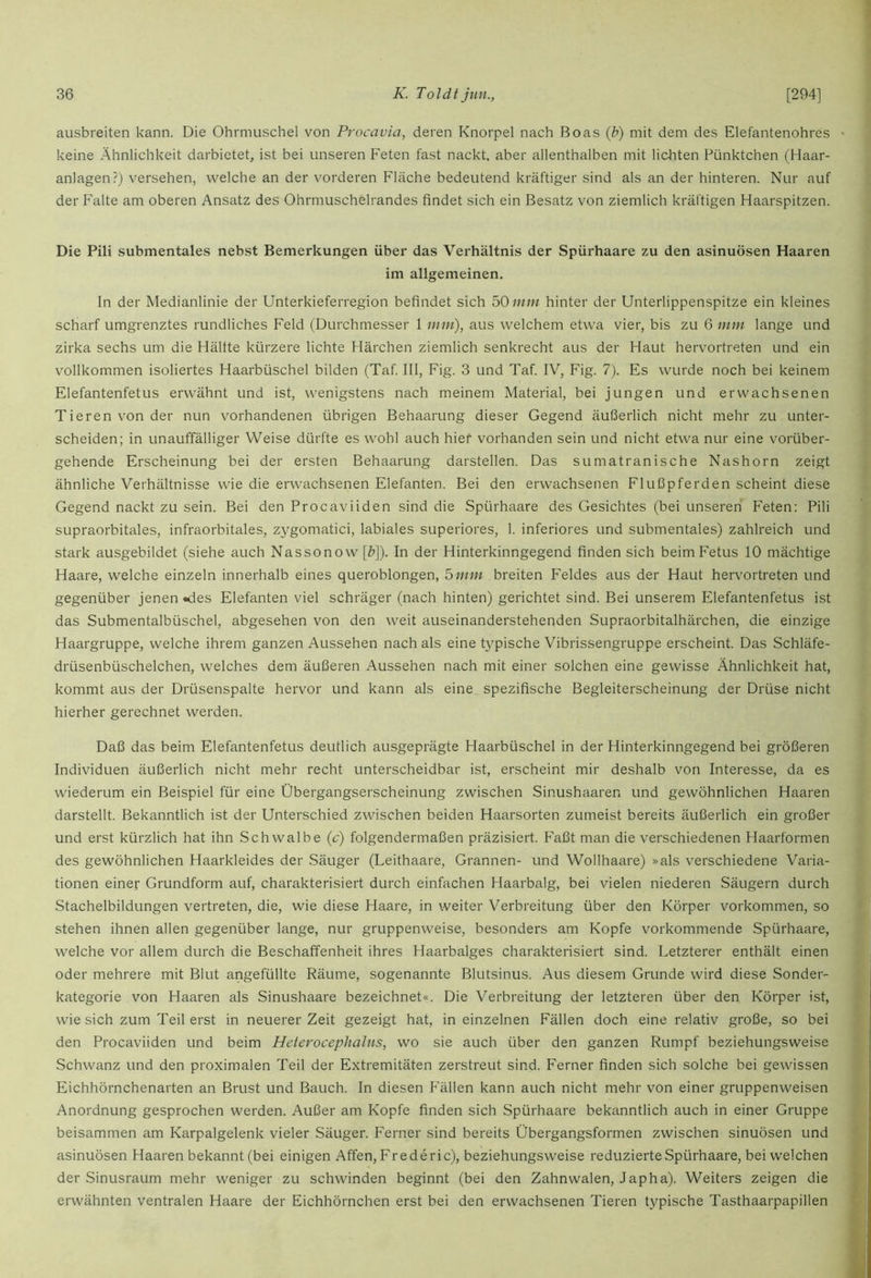 ausbreiten kann. Die Ohrmuschel von Procavia, deren Knorpel nach Boas {b) mit dem des Elefantenohres keine Ähnlichkeit darbietet, ist bei unseren Feten fast nackt, aber allenthalben mit lichten Pünktchen (Haar- anlagen?) versehen, welche an der vorderen Fläche bedeutend kräftiger sind als an der hinteren. Nur auf der Falte am oberen Ansatz des Ohrmuschelrandes findet sich ein Besatz von ziemlich kräftigen Haarspitzen. Die Pili submentales nebst Bemerkungen über das Verhältnis der Spürhaare zu den asinuösen Haaren im allgemeinen. In der Medianlinie der Unterkieferregion befindet sich bO mm hinter der Unterlippenspitze ein kleines scharf umgrenztes rundliches Feld (Durchmesser 1 mm), aus welchem etwa vier, bis zu 6 mm lange und zirka sechs um die Hälfte kürzere lichte Härchen ziemlich senkrecht aus der Haut hervortreten und ein vollkommen isoliertes Haarbüschel bilden (Taf. III, Fig. 3 und Taf. IV, Fig. 7). Es wurde noch bei keinem Elefantenfetus erwähnt und ist, wenigstens nach meinem Material, bei jungen und erwachsenen Tieren von der nun vorhandenen übrigen Behaarung dieser Gegend äußerlich nicht mehr zu unter- scheiden; in unauffälliger Weise dürfte es wohl auch hier vorhanden sein und nicht etwa nur eine vorüber- gehende Erscheinung bei der ersten Behaarung darstellen. Das Sumatranische Nashorn zeigt ähnliche Verhältnisse wie die erwachsenen Elefanten. Bel den erwachsenen Flußpferden scheint diese Gegend nackt zu sein. Bei den Procaviiden sind die Spürhaare des Gesichtes (bei unseren Feten; Pili supraorbitales, infraorbitales, zygomatici, labiales superiores, 1. inferiores und submentales) zahlreich und stark ausgebildet (siehe auch Nassonow [Z?]). In der Hinterkinngegend finden sich beim Fetus 10 mächtige Haare, welche einzeln innerhalb eines queroblongen, 5mm breiten Feldes aus der Haut hervortreten und gegenüber jenen «des Elefanten viel schräger (nach hinten) gerichtet sind. Bei unserem Elefantenfetus ist das Submentalbüschel, abgesehen von den weit auseinanderstehenden Supraorbitalhärchen, die einzige Haargruppe, welche ihrem ganzen Aussehen nach als eine typische Vibrissengruppe erscheint. Das Schläfe- drüsenbüschelchen, welches dem äußeren Aussehen nach mit einer solchen eine gewisse Ähnlichkeit hat, kommt aus der Drüsenspalte hervor und kann als eine spezifische Begleiterscheinung der Drüse nicht hierher gerechnet werden. Daß das beim Elefantenfetus deutlich ausgeprägte Haarbüschel in der Hinterkinngegend bei größeren Individuen äußerlich nicht mehr recht unterscheidbar ist, erscheint mir deshalb von Interesse, da es wiederum ein Beispiel für eine Übergangserscheinung zwischen Sinushaaren und gewöhnlichen Haaren darstellt. Bekanntlich ist der Unterschied zwischen beiden Haarsorten zumeist bereits äußerlich ein großer und erst kürzlich hat ihn Schwalbe (c) folgendermaßen präzisiert. Faßt man die verschiedenen Haarformen des gewöhnlichen Haarkleides der Säuger (Leithaare, Grannen- und Wollhaare) »als verschiedene Varia- tionen einer Grundform auf, charakterisiert durch einfachen Haarbalg, bei vielen niederen Säugern durch Stachelbildungen vertreten, die, wie diese Haare, in weiter Verbreitung über den Körper Vorkommen, so stehen ihnen allen gegenüber lange, nur gruppenweise, besonders am Kopfe vorkommende Spürhaare, welche vor allem durch die Beschaffenheit ihres Haarbalges charakterisiert sind. Letzterer enthält einen oder mehrere mit Blut angefüllte Räume, sogenannte Blutsinus. Aus diesem Grunde wird diese Sonder- kategorie von Haaren als Sinushaare bezeichnet«. Die Verbreitung der letzteren über den Körper ist, wie sich zum Teil erst in neuerer Zeit gezeigt hat, in einzelnen Fällen doch eine relativ große, so bei den Procaviiden und beim HeferocepJialns, wo sie auch über den ganzen Rumpf beziehungsweise Schwanz und den proximalen Teil der Extremitäten zerstreut sind. Ferner finden sich solche bei gewissen Eichhörnchenarten an Brust und Bauch. In diesen Fällen kann auch nicht mehr von einer gruppenweisen Anordnung gesprochen werden. Außer am Kopfe finden sich Spürhaare bekanntlich auch in einer Gruppe beisammen am Karpalgelenk vieler Säuger. Ferner sind bereits Übergangsformen zwischen sinuösen und asinuösen Haaren bekannt (bei einigen Affen, Frederic), beziehungsweise reduzierte Spürhaare, bei welchen der Sinusraum mehr weniger zu schwinden beginnt (bei den Zahnwalen, Japha). Weiters zeigen die erwähnten ventralen Haare der Eichhörnchen erst bei den erwachsenen Tieren typische Tasthaarpapillen