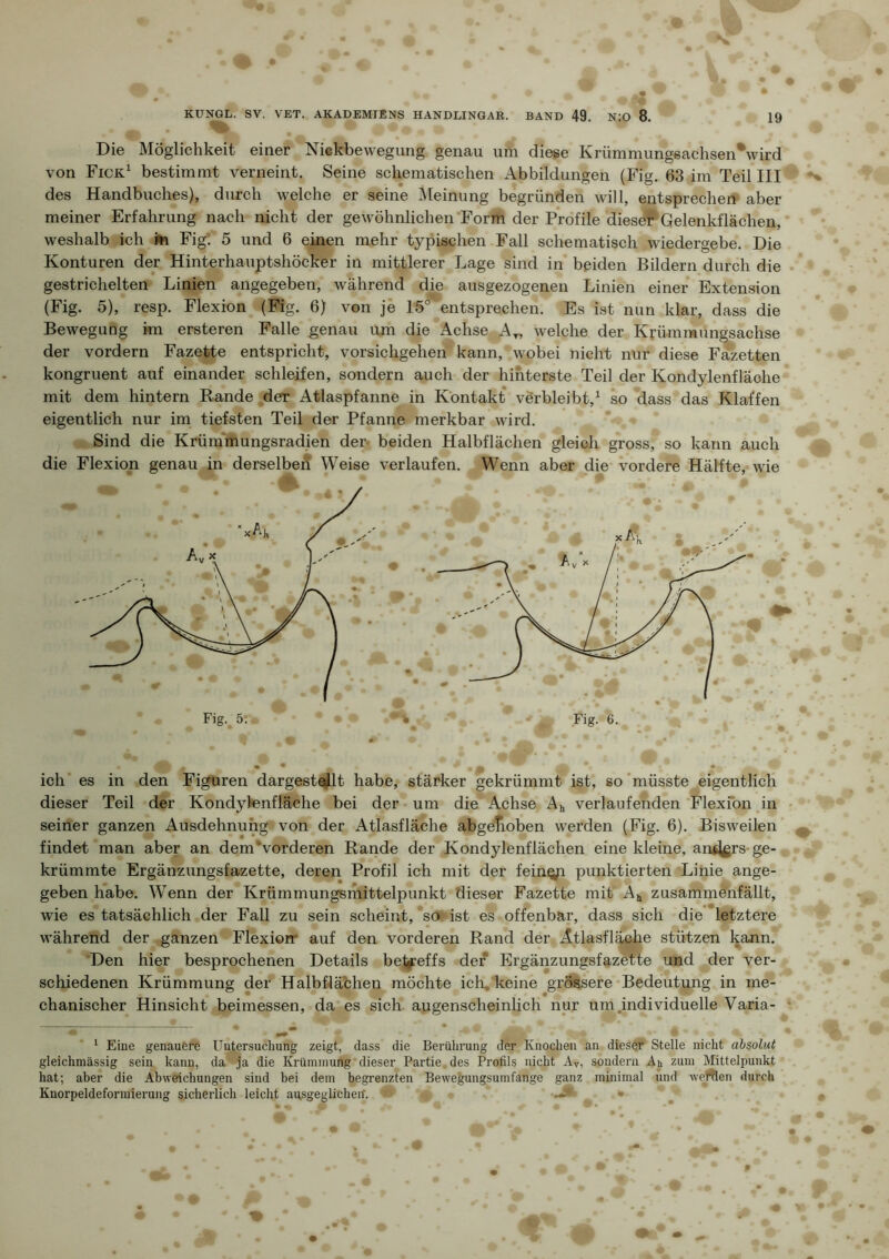 Die Möglichkeit einer Nickbewegung genau um diese KrümmungsachsenVird von Fick^ bestimmt verneint. Seine schematischen Abbildungen (Fig. 63 im Teil III des Handbuches), durch welche er seine Meinung begründen will, entsprecherr aber meiner Erfahrung nach nicht der gewöhnlichen Form der Profile dies^ Gelenkflächen, weshalb ich m Fig! 5 und 6 einen mehr typischen Fall schematisch wiedergebe. Die Konturen der Hinterhauptshöcker in mittlerer Lage sind in’ beiden Bildern durch die gestrichelten Linien angegeben, während die ausgezogenen Linien einer Extension (Fig. 5), resp. Flexion (Fig. 6) von je 15‘^entsprechen. Es ist nun klar, dass die Bewegung im ersteren Falle genau um die Achse A„ welche der Krümmungsachse der vordem Fazette entspricht, vorsichgehen kann, wobei nicht nur diese F^etten kongruent auf einander schleifen, sondern auch der hinterste Teil der Kondylenfläohe mit dem hintern Rande ^der Atlaspfanne in Kontakt verbleibt,^ so dass das Klaffen eigentlich nur im tiefsten Teil der Pfanne merkbar wird. Sind die Krürannungsradien der- beiden Halbflächen gleich gross, so kann auch die Flexion genau in derselben Weise verlaufen. Wenn aber die- vordere Hälfte, wie ich' es in den Figuren dargestei^lt habe, stärker gekrümmt ist, »o'müsste eigentlich dieser Teil der Kondylenfläche bei der um die Achse verlaufenden 'Flexfon in seiner ganzen Ausdehnung von der Atlasfläche abgefioben werden (Fig. 6). Bisweilen findet man aber an demVorderen Rande der Kondylenflachen eine kleine, an4ßrs-ge- krümmte Ergänzungsfazette, deren Profil ich mit der fein^p punktierten Linie ange- geben habe. Wenn der Krümmungsmittelpunkt dieser Fazette mit A,, zusammenfällt, wie es tatsächlich der Fall zu sein scheint, *so ist es offenbar, dass sich die letztere während der ganzen Flexion* auf den vorderen Rand der Atlasfläche stützen kann. Den hier besprochenen Details bel^reffs der Ergänzungsfaz^te und der ver- schiedenen Krümmung der Halbflächen möchte ich, keine gröiSsere-Bedeutung in me- chanischer Hinsicht beimessen, da es sich augenscheinlich nur um.individuelle Varia- Fig. 6. Fig. 5:< ^ Eine genauere Untersuchung zeigt, dass die Berührung der Knochen an dieser Stelle nicht ahmlut gleichmässig sein kann, da ja die Krümmung dieser Partie des Profils nicht Ay, sondern Ah zum Mittelpunkt hat; aber die Abweichungen sind bei dem begrenzten Bewegungsumfange ganz minimal und wetten durch Knorpeldeformierung sicherlich leicht ausgeglichen'. •