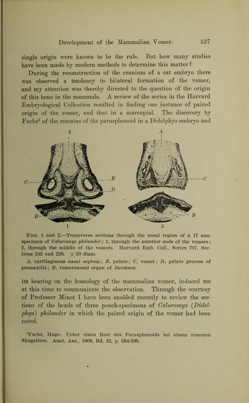 single origin were known to be the rule. But how many studies have been made by modern methods to determine this matter ? During the reconstruction of the cranium of a cat embryo there was observed a tendency to bilateral formation of the vomer, and my attention was thereby directed to the question of the origin of this bone in the mammals. A review of the series in the Harvard Emhryological Collection resulted in finding one instance of paired origin of the vomer, and tliat in a marsupial. The discovery by Fuchs'^ of the remains of the parasphenoid in a Didelphys embryo and 2 Figs. 1 and 2.—Transverse sections through the nasal region of a 17 mm. specimen of Caluromys philander; 1, through the anterior ends of the vomers; 2, through the middle of the vomers. Harvard Emb. Coll., Series 707, Sec- tions 245 and 228. X 39 diam. A, cartilaginous nasal septum; B, palate; C, vomer; D, palate process of premaxilla; E, vomeronasal organ of Jacobson. its bearing on the homology of the mammalian vomer, induced me at this time to communicate the observation. Through the courtesy of Professor Minot I have been enabled recently to review the sec- tions of the heads of three pouch-specimens of Caluromys {Didel- phys) philander in which the paired origin of the vomer had been noted. Tuchs, Hugo. Ueber einen Rest des Parasphenoids bei einem rezenten Saugetiere. Anat. Anz., 1908, Bd. 32, p. 584-590.