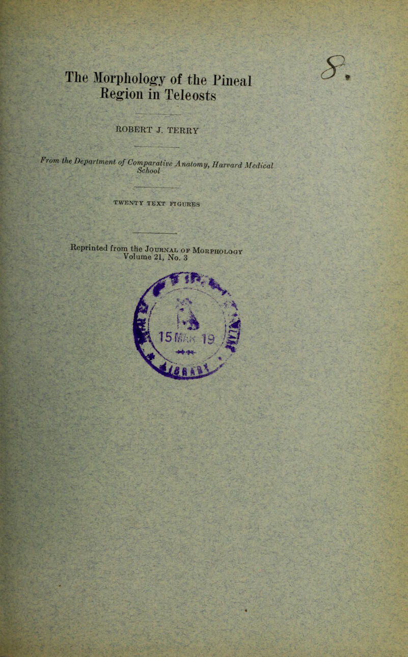 f-' The Morphology of the Pineal Region in Teleosts 5^. ROBERT J. TERRY From the Department of Comparative Anatomy, Harvard Medical School twenty text itgurbs Reprinted from the Journal of Morphology