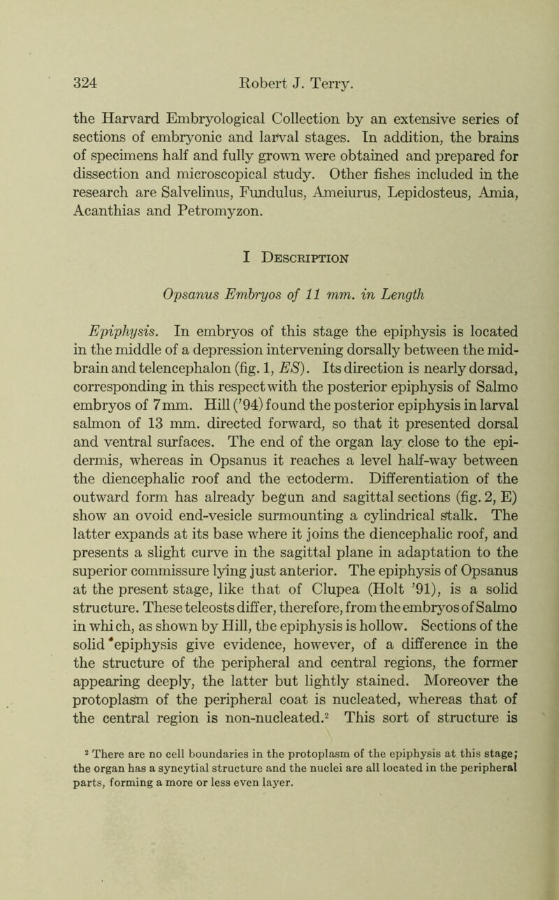 the Harvard Embryological Collection by an extensive series of sections of embryonic and larval stages. In addition, the brains of specunens half and fully grown were obtained and prepared for dissection and microscopical study. Other fishes included in the research are Salvelinus, Fundulus, Ameiurus, Lepidosteus, Amia, Acanthias and Petromyzon. I Description Opsanus Embryos of 11 mm. in Length Epiphysis. In embryos of this stage the epiphysis is located in the middle of a depression intervening dorsally between the mid- brain and telencephalon (fig. 1, ES). Its direction is nearly dorsad, corresponding in this respect with the posterior epiphysis of Salmo embryos of 7mm. Hill ('94) found the posterior epiphysis in larval salmon of 13 mm. directed forward, so that it presented dorsal and ventral surfaces. The end of the organ lay close to the epi- dermis, whereas in Opsanus it reaches a level half-way between the diencephalic roof and the ectoderm. Differentiation of the outward form has already begun and sagittal sections (fig. 2, E) show an ovoid end-vesicle surmounting a cylindrical stalk. The latter expands at its base where it joins the diencephalic roof, and presents a slight curve in the sagittal plane in adaptation to the superior commissure lying just anterior. The epiphysis of Opsanus at the present stage, like that of Clupea (Holt ’91), is a solid structure. These teleosts differ, therefore, from the embryos of Salmo in which, as shown by Hill, the epiphysis is hollow. Sections of the solid'epiphysis give evidence, however, of a difference in the the structure of the peripheral and central regions, the former appearing deeply, the latter but lightly stained. Moreover the protoplasni of the peripheral coat is nucleated, whereas that of the central region is non-nucleated.^ This sort of structure is 2 There are no cell boundaries in the protoplasm of the epiphysis at this stage; the organ has a syncytial structure and the nuclei are all located in the peripheral parts, forming a more or less even layer.