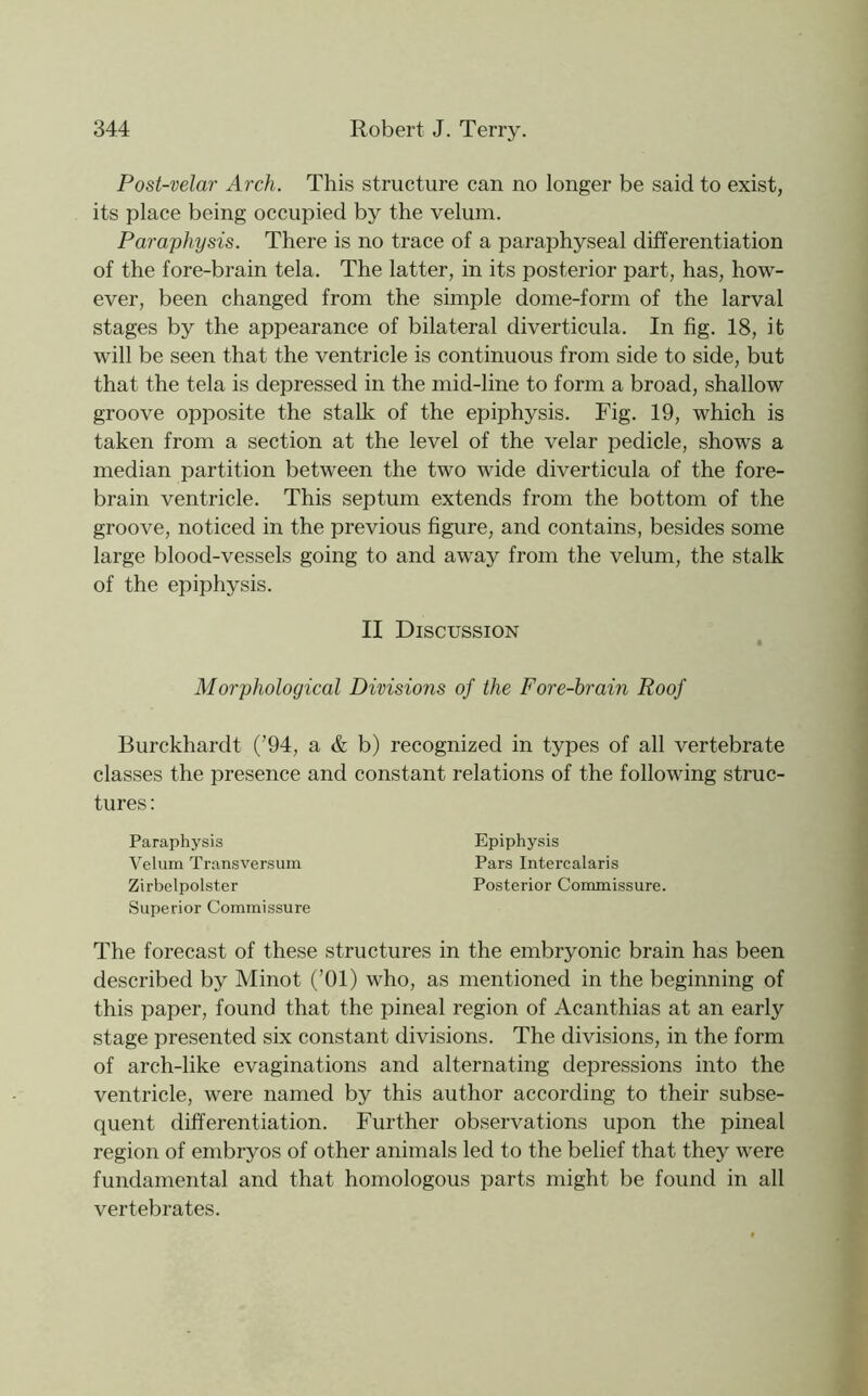 Post-velar Arch. This structure can no longer be said to exist, its place being occupied by the velum. Paraphysis. There is no trace of a paraphyseal differentiation of the fore-brain tela. The latter, in its posterior part, has, how- ever, been changed from the simple dome-form of the larval stages by the appearance of bilateral diverticula. In fig. 18, it will be seen that the ventricle is continuous from side to side, but that the tela is depressed in the mid-line to form a broad, shallow groove opposite the stalk of the epiphysis. Fig. 19, which is taken from a section at the level of the velar pedicle, shows a median partition between the two wide diverticula of the fore- brain ventricle. This septum extends from the bottom of the groove, noticed in the previous figure, and contains, besides some large blood-vessels going to and away from the velum, the stalk of the epiphysis. II Discussion « Morphological Divisions of the Fore-brain Roof Burckhardt (’94, a & b) recognized in types of all vertebrate classes the presence and constant relations of the following struc- tures : Paraphysis Velum Transversum Zirbelpolster Superior Commissure The forecast of these structures in the embryonic brain has been described by Minot (’01) who, as mentioned in the beginning of this paper, found that the pineal region of Acanthias at an early stage presented six constant divisions. The divisions, in the form of arch-like evaginations and alternating depressions into the ventricle, were named by this author according to their subse- quent differentiation. Further observations upon the pineal region of embryos of other animals led to the belief that they were fundamental and that homologous parts might be found in all vertebrates. Epiphysis Pars Intercalaris Posterior Commissure.
