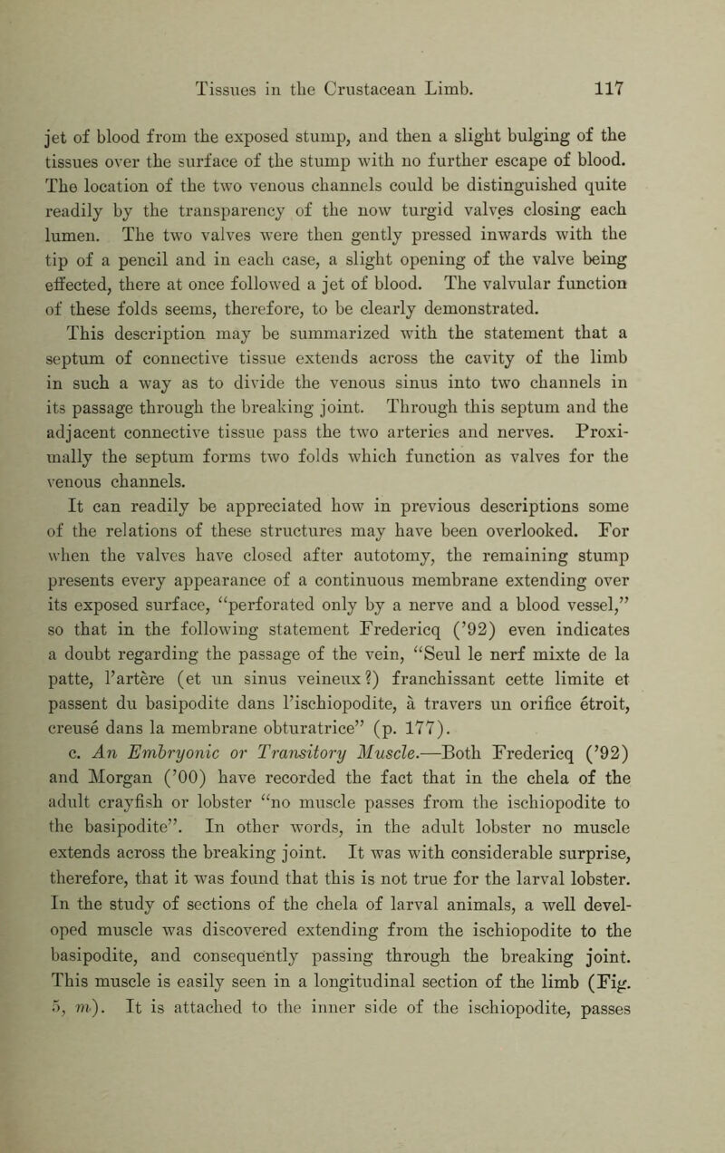 jet of blood from the exposed stump, and then a slight bulging of the tissues over the surface of the stump with no further escape of blood. The location of the two venous channels could be distinguished quite readily by the transparency of the now turgid valves closing each lumen. The two valves were then gently pressed inwards with the tip of a pencil and in each case, a slight opening of the valve being effected, there at once followed a jet of blood. The valvular function of these folds seems, therefore, to be clearly demonstrated. This description may be summarized with the statement that a septum of connective tissue extends across the cavity of the limb in such a way as to divide the venous simis into two channels in its passage through the breaking joint. Through this septum and the adjacent connective tissue pass the two arteries and nerves. Proxi- mally the septum forms two folds which function as valves for the venous channels. It can readily be appreciated how in previous descriptions some of the relations of these structures may have been overlooked. For when the valves have closed after autotomy, the remaining stump presents every appearance of a continuous membrane extending over its exposed surface, “perforated only by a nerve and a blood vessel,” so that in the following statement Fredericq (’92) even indicates a doubt regarding the passage of the vein, “Seul le nerf mixte de la patte, I’artere (et un sinus veineux ?) franchissant cette limite et passent du basipodite dans I’ischiopodite, a travers un orifice etroit, creuse dans la membrane obturatrice” (p. 177). c. An Embryonic or Transitory Muscle.—Both Fredericq (’92) and Morgan (’00) have recorded the fact that in the chela of the adult crayfish or lobster “no muscle passes from the ischiopodite to the basipodite”. In other words, in the adult lobster no muscle extends across the breaking joint. It was with considerable surprise, therefore, that it was found that this is not true for the larval lobster. In the study of sections of the chela of larval animals, a well devel- oped muscle was discovered extending from the ischiopodite to the basipodite, and consequently passing through the breaking joint. This muscle is easily seen in a longitudinal section of the limb (Fig. ), m). It is attached to the inner side of the ischiopodite, passes