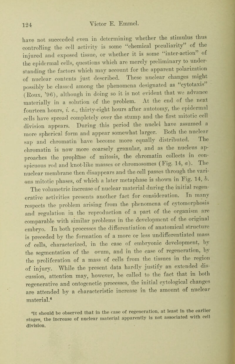 have not succeeded even in determining whether the stimulus thus controlling the cell activity is some “chemical peculiarity” of the injured and exposed tissue, or whether it is some inter-action of the epidermal cells, questions which are merely preliminary to under- standing the factors which may account for the apparent polarization of nuclear contents just described. These nuclear changes might possibly be classed among the phenomena designated as “cytotaxis” (Roux, ’96), although in doing so it is not evident that we advance materially in a solution of the problem. At the end of the next fourteen hours, i. e., thirty-eight hours after autotomy, the epidermal cells have spread completely over the stump and the first mitotic cell division appears. During this period the nuclei have assumed a more spherical form and appear somewhat larger. Both the nuclear sap and chromatin have become more equally distributed. The chromatin is now more coarsely granular, and as the nucleus ap- proaches the proph'ase of mitosis, the chromatin collects in con- spicuous rod and knot-like masses or chromosomes (Eig. 14, a). The nuclear membrane then disappears and the cell passes through the vari- ous mitotic phases, of which a later metaphase is shovm in Eig. 14, h. The volumetric increase of nuclear material during the initial regen- erative activities presents another fact for consideration. In many respects the problem arising from the phenomena of cytomorphosis and regulation in the reproduction of a part of the organism aie comparable with similar problems in the development of the original embryo. In both processes the differentiation of anatomical structure is preceded by the formation of a more or less undifferentiated mass of cells, characterized, in the case of embryonic development, by the segmentation of the ovum, and in the case of regeneration, by the proliferation of a mass of cells from the tissues in the region of injury. While the present data hardly justify an extended dis- cussion, attention may, however, he called to the fact that in both regenerative and ontogenetic processes, the initial cytological changes are attended by a characteristic increase in the amount of nuclear material.'* *It should be observed that in the case of regeneration, at least in the earlier stages, the increase of nuclear material apparently is not associated with cell division.