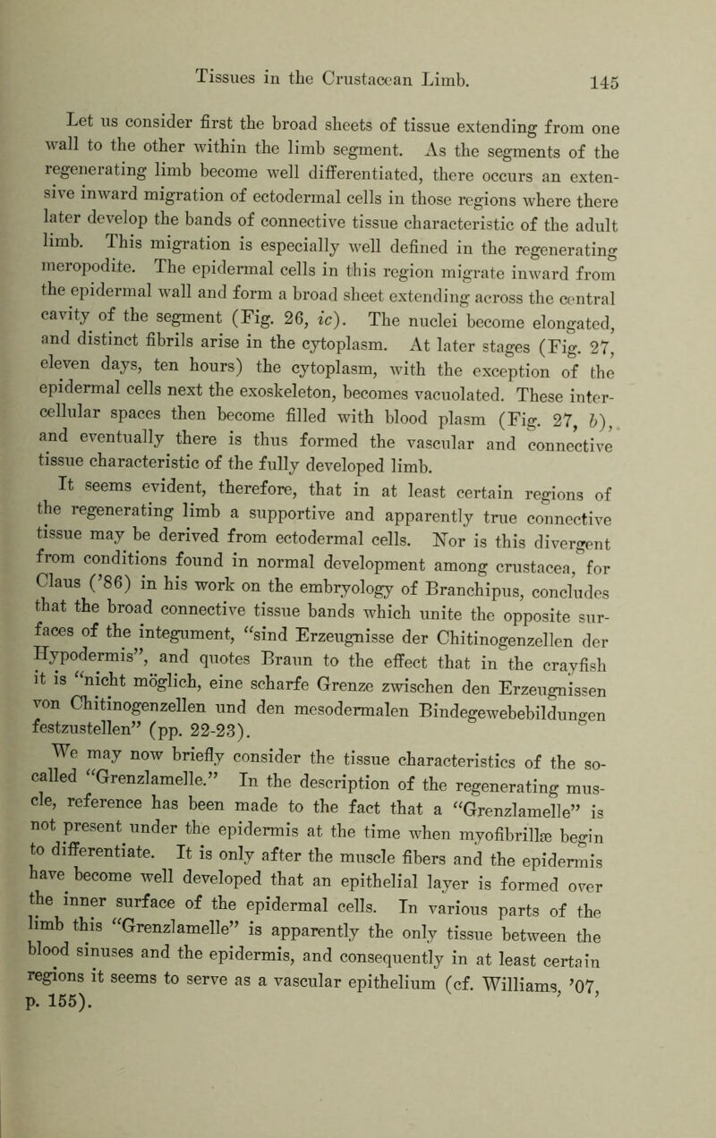 Let us consider first the broad sheets of tissue extending from one wall to the other within the limb segment. As the segments of the regeneiating limb become well differentiated, there occurs an exten- sive inward migration of ectodermal cells in those regions where there later develop the bands of connective tissue characteristic of the adult limb. This migration is especially well defined in the regenerating meropodite. The epidermal cells in this region migrate inward from the epidermal wall and form a broad sheet extending across the central cavity of the segment (Fig. 26, ic). The nuclei become elongated, and distinct fibrils arise in the cytoplasm. At later stages (Fig. 27, eleven days, ten hours) the cytoplasm, with the e.xception of the epidermal cells next the exoskeleton, becomes vacuolated. These inter- cellular spaces then become filled with blood plasm (Fig. 27, 6), and eventually there is thus formed the vascular and connective tissue characteristic of the fully developed limb. It seems evident, therefore, that in at least certain regions of the regenerating limb a supportive and apparently true connective tissue may be derived from ectodermal cells. ISTor is this divergent from conditions found in normal development among Crustacea, for Claus (’86) in his work on the embryology of Branchipus, concludes that the broad connective tissue bands which unite the opposite sur- faces of the integument, “sind Erzeugnisse der Chitinogenzellen der Hypodermis”, and quotes Braun to the effect that in the crayfish it is nicht moglich, eine scharfe Grenze zwischen den Erzeugnissen von Chitinogenzellen und den mesodermalen Bindegewebebildungen festzustellen” (pp. 22-23). We may now briefly consider the tissue characteristics of the so- called ‘^Grenzlamelle.” In the description of the regenerating mus- cle, reference has been made to the fact that a ''Grenzlamelle” is not present under the epidermis at the time when myofibrillje begin to differentiate. It is only after the muscle fibers and the epidermis have become well developed that an epithelial layer is formed over the inner surface of the epidermal cells. In various parts of the hmb this “Grenzlamelle” is apparently the only tissue between the blood sinuses and the epidermis, and consequently in at least certain regions it seems to serve as a vascular epithelium (cf. Williams ’07 p. 155).