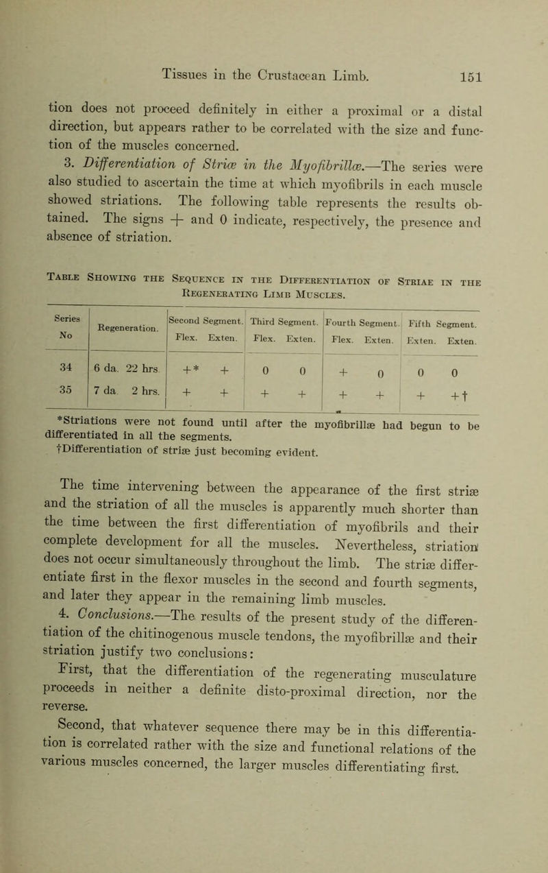 tion does not proceed definitely in either a proximal or a distal direction, but appears rather to be correlated with the size and func- tion of the muscles concerned. 3. Differentiation of Strice in the Myofibrillce.—The series were also studied to ascertain the time at which myofibrils in each muscle showed striations. The following table represents the results ob- tained. The signs -(- and 0 indicate, respectively, the presence and absence of striation. Table Showing the Sequence in the Differentiation of Striae in the Regenerating Limb Muscles. Series No Regeneration. Second Segment. Flex. Exten. Third Segment. Flex. Exten. Fourth Segment. Flex. Exten. Fifth Exten Segment. Exten. .34 6 da. 22 hrs -t- 0 0 + 0 0 0 35 7 da 2 hrs. -1- -1- + + + 4- -h + t ♦Striations were not found until after the myoflbrill® had begun to be differentiated in all the segments. tDiflferentiation of striae just becoming evident. The time intervening between the appearance of the first striae and the striation of all the muscles is apparently much shorter than the time between the first differentiation of myofibrils and their complete development for all the muscles. ^Tevertheless, striation does not occur simultaneously throughout the limb. The striie differ- entiate first in the flexor muscles in the second and fourth segments, and later they appear in the remaining limb muscles. 4. Conclusions. The results of the present study of the differen- tiation of the chitinogenous muscle tendons, the myofibrill^ and their striation justify two conclusions: First, that the differentiation of the regenerating musculature proceeds in neither a definite disto-proximal direction, nor the reverse. ^ Second, that whatever sequence there may be in this differentia- tion is correlated rather with the size and functional relations of the various muscles concerned, the larger muscles differentiating first.