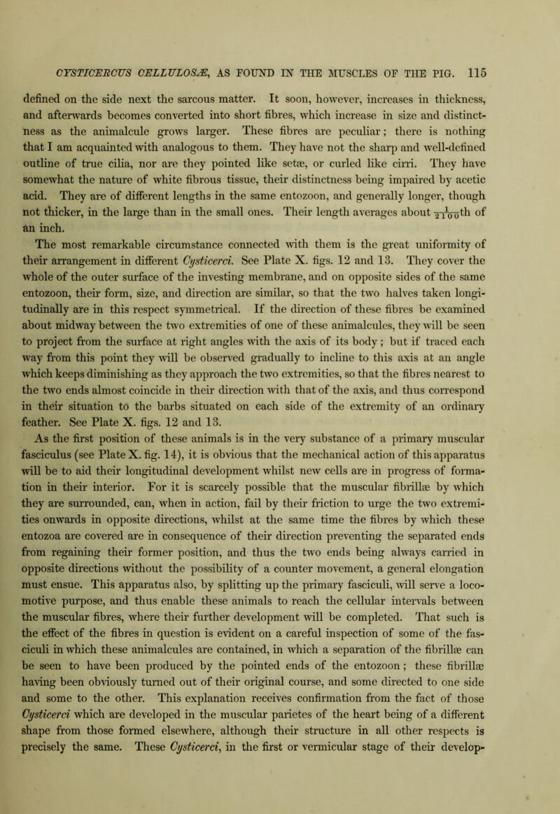defined on the side next the sarcous matter. It soon, however, increases in thickness, and afterwards becomes converted into short fibres, which increase in size and distinct- ness as the animalcule grows larger. These fibres are peculiar; there is nothing that I am acquainted with analogous to them. They have not the sharp and well-defined outline of true cilia, nor are they pointed like setse, or curled like cirri. They have somewhat the nature of white fibrous tissue, their distinctness being impaired by acetic acid. They are of difierent lengths in the same entozoon, and generally longer, though not thicker, in the large than in the small ones. Their length averages about of an inch. The most remarkable circumstance connected ^vith them is the great uniformity of their arrangement in difierent Cysticerci. See Plate X. figs. 12 and 13. They cover the whole of the outer surface of the investing membrane, and on opposite sides of the same entozoon, their form, size, and du'ection are similar, so that the two halves taken longi- tudinally are in this respect symmetrical. If the direction of these fibres be examined about midway between the two extremities of one of these animalcules, they will be seen to project from the surface at right angles with the axis of its body; but if traced each way from this point they mil be observed gradually to incline to this axis at an angle which keeps diminishing as they approach the two extremities, so that the fibres nearest to the two ends almost coincide in their direction with that of the axis, and thus correspond in their situation to the barbs situated on each side of the extremity of an ordinary feather. See Plate X. figs. 12 and 13. As the first position of these animals is in the very substance of a primary muscular fasciculus (see Plate X. fig. 14), it is obvious that the mechanical action of this apparatus will be to aid their longitudinal development whilst new cells are in progress of forma- tion in their interior. For it is scarcely possible that the muscular fibrillse by which they are surrounded, can, when in action, fail by their friction to urge the two extremi- ties onwards in opposite directions, whilst at the same time the fibres by which these entozoa are covered are in consequence of their direction preventing the separated ends from regaining their former position, and thus the two ends being always carried in opposite directions without the possibility of a counter movement, a general elongation must ensue. This apparatus also, by splitting up the primary fasciculi, will serve a loco- motive purpose, and thus enable these animals to reach the cellular intervals between the muscular fibres, where their further development will be completed. That such is the effect of the fibres in question is evident on a careful inspection of some of the fas- ciculi in which these animalcules are contained, in which a separation of the fibrillte can be seen to have been produced by the pointed ends of the entozoon; these fibrillae having been obviously turned out of their original course, and some directed to one side and some to the other. This explanation receives confirmation from the fact of those Cysticerci which are developed in the muscular parietes of the heart being of a difierent shape from those formed elsewhere, although their structure in all other respects is precisely the same. These Cysticerci, in the first or vermicular stage of their develop-