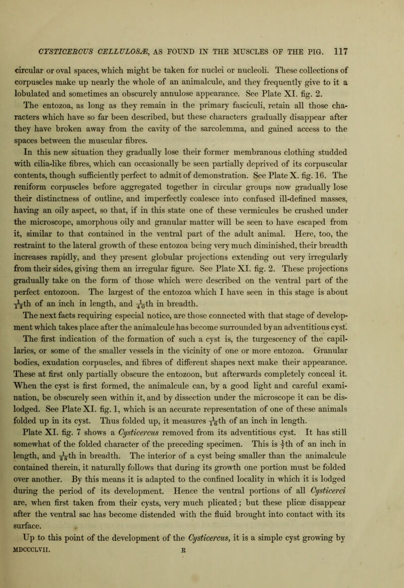 circular or oval spaces, which might be taken for nuclei or nucleoli. These collections of corpuscles make up nearly the whole of an animalcule, and they frequently give to it a lobulated and sometimes an obscurely annulose appearance. See Plate XI. fig. 2. The entozoa, as long as they remain in the primary fasciculi, retain all those cha- racters which have so far been described, but these characters gradually disappear after they have broken away from the ca\ity of the sarcolemma, and gained access to the spaces between the muscular fibres. In this new situation they gradually lose their former membranous clothing studded with cilia-like fibres, which can occasionally be seen partially deprived of its corpuscular contents, though sufficiently perfect to admit of demonstration. See Plate X. fig. 16. The reniform corpuscles before aggregated together in cu'cular groups now gradually lose their distinctness of outline, and imperfectly coalesce into confused ill-defined masses, having an oily aspect, so that, if in this state one of these vermicules be crushed under the microscope, amorphous oily and granular matter will be seen to have escaped from it, similar to that contained in the ventral part of the adult animal. Here, too, the restraint to the lateral growth of these entozoa being very much diminished, their breadth increases rapidly, and they present globular projections extending out very irregularly from their sides, giving them an irregular figui’e. See Plate XI. fig. 2. These projections gradually take on the form of those which were described on the ventral part of the perfect entozoon. The largest of the entozoa which I have seen in this stage is about •^th of an inch in length, and 4^th in breadth. The next facts requiring especial notice, are those connected with that stage of develop- ment which takes place after the animalcule has become surrounded by an adventitious cyst'. The first indication of the formation of such a cyst is, the turgescency of the capil- laries, or some of the smaller vessels in the vicinity of one or more entozoa. Granular bodies, exudation corpuscles, and 'fibres of different shapes next make their appearance. These at first only partially obscure the entozoon, but afterwards completely conceal it. When the cyst is first formed, the animalcule can, by a good light and careful exami- nation, be obscurely seen within it, and by dissection under the microscope it can be dis- lodged. See Plate XI. fig. 1, which is an accurate representation of one of these animals folded up in its cyst. Thus folded up, it measures of an inch in length. Plate XI. fig. 7 shows a Cysticercus removed from its adventitious cyst. It has still somewhat of the folded character of the preceding specimen. This is yth of an inch in length, and -^th in breadth. The interior of a cyst being smaller than the animalcule contained therein, it naturally follows that during its growth one portion must be folded over another. By this means it is adapted to the confined locality in which it is lodged during the period of its development. Hence the ventral portions of all Cysticerci are, when first taken from their cysts, very much plicated; but these plicae disappear after the ventral sac has become distended with the fluid brought into contact with its surface. , Up to this point of the development of the Cysticercus, it is a simple cyst growing by MDCCCLVII. E