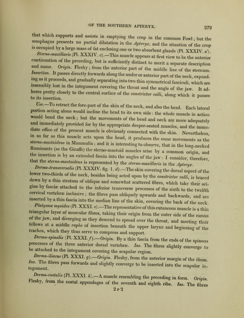 279 that which supports and assists in emptying the crop in the common Fowl; but the oesophagus presents no partial dilatation in the Apteryx, and the situation of the cron is occupie y a large mass of lat enclosing one or two absorbent glands (PI. XXXIV. a') Sterno-maxillaris (PI. XXXIV. c).-This muscle appears at first view to be the anterior cont.nuat.on of the preceding, but is sufficiently distinct to merit a separate description and name Origin. Fleshy ; from the anterior part of the middle line of the sternum Imerh°n. It passes directly forwards along the under or anterior part of the neck expand- ing as it proceeds, and gradually separating into two thin symmetrical fasciculi, which are insensibly lost in the integument covering the throat and the angle of the jaw. It ad- heres pretty closely to the central surface of the constrictor colli, along which it passes to its insertion. 1 Use.—ro retract the fore-part of the skin of the neck, and also the head. Each lateral portion acting alone would incline the head to its own side: the whole muscle in action would bend the neck; but the movements of the head and neck are more adequately and immediately provided for by the appropriate deeper-seated muscles, and the imme- diate office of the present muscle is obviously connected with the skin. Nevertheless in so far as this muscle acts upon the head, it produces the same movements as the sterno.mastoideus in Mammalia ; and it is interesting to observe, that in the long-necked uminants (as the Giraffe) the sterno-mastoid muscles arise by a common origin, and ie insertmn is by an extended fascia into the angles of the jaw: I consider, therefore that the sterno-mastoideus is represented by the sterno-maxillaris in the Apteryx nerrnodransversalis (PI. XXXIV. fig. 1 d).-The skin covering the dorsal aspect of the ower wo-thirds of the neck, besides being acted upon by the constrictor colli, is braced own by a thin stratum of oblique and somewhat scattered fibres, which take their ori- gins by fasciae attached to the inferior transverse processes of the sixth to the twelfth cervical vertebrae inclusive ; the fibres pass obliquely upwards and backwards, and are inserted by a thin fascia into the median line of the skin, covering the back of the neck. Platysma myoides (PI. XXXI. e).~The representative of this cutaneous muscle is a thin triangular layer of muscular fibres, taking their origin from the outer side of the ramus of the jaw, and diverging as they descend to spread over the throat, and meeting their fellows at a middle raphe of insertion beneath the upper larynx and beginning of the tiachea, which they thus serve to compress and support. Dermo-spmalis (PI. XXXI. /).—Origin. By a thin fascia from the ends of the spinous processes of the three anterior dorsal vertebra:. Ins. The fibres slightly converge to be attached to the integument covering the scapular region. Dermo-ihacus (PI. XXXI. g).—Origin. Fleshy, from the anterior margin of the ilium Ins. The fibres pass forwards and slightly converge to be inserted into the scapular in tegument. r Dermo-costalis (PI. XXXL h). A muscle resembling the preceding in form. Origin fleshy, irom the costal appendages of the seventh and eighth ribs. Ins. The fibres