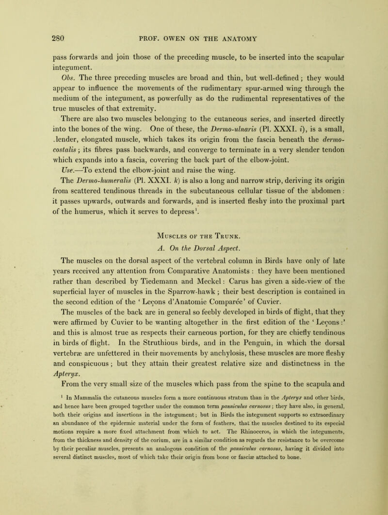 pass forwards and join those of the preceding muscle, to be inserted into the scapular integument. Obs. The three preceding muscles are broad and thin, but well-defined ; they would appear to influence the movements of the rudimentary spur-armed wing through the medium of the integument, as powerfully as do the rudimental representatives of the true muscles of that extremity. There are also two muscles belonging to the cutaneous series, and inserted directly into the bones of the wing. One of these, the Dermo-ulnaris (PI. XXXI. i), is a small, .lender, elongated muscle, which takes its origin from the fascia beneath the dermo- costalis; its fibres pass backwards, and converge to terminate in a very slender tendon which expands into a fascia, covering the back part of the elbow-joint. Use.—To extend the elbow-joint and raise the wing. The Dermo-humeralis (PI. XXXI. k) is also a long and narrow strip, deriving its origin from scattered tendinous threads in the subcutaneous cellular tissue of the abdomen: it passes upwards, outwards and forwards, and is inserted fleshy into the proximal part of the humerus, which it serves to depress1. Muscles of the Trunk. A. On the Dorsal Aspect. The muscles on the dorsal aspect of the vertebral column in Birds have only of late years received any attention from Comparative Anatomists : they have been mentioned rather than described by Tiedemann and Meckel: Carus has given a side-view of the superficial layer of muscles in the Sparrow-hawk ; their best description is contained in the second edition of the ‘ Lecons d’Anatomie Comparee’ of Cuvier. The muscles of the back are in general so feebly developed in birds of flight, that they were affirmed by Cuvier to be wanting altogether in the first edition of the ‘ Lecons and this is almost true as respects their carneous portion, for they are chiefly tendinous in birds of flight. In the Struthious birds, and in the Penguin, in which the dorsal vertebra are unfettered in their movements by anchylosis, these muscles are more fleshy and conspicuous; but they attain their greatest relative size and distinctness in the Apteryx. From the very small size of the muscles which pass from the spine to the scapula and 1 In Mammalia the cutaneous muscles form a more continuous stratum than in the Apteryx and other birds, and hence have been grouped together under the common term panniculus carnosus; they have also, in genera], both their origins and insertions in the integument; but in Birds the integument supports so extraordinary an abundance of the epidermic material under the form of feathers, that the muscles destined to its especial motions require a more fixed attachment from which to act. The Rhinoceros, in which the integuments, from the thickness and density of the corium, are in a similar condition as regards the resistance to be overcome by their peculiar muscles, presents an analogous condition of the panniculus carnosus, having it divided into several distinct muscles, most of which take their origin from bone or fascise attached to bone.