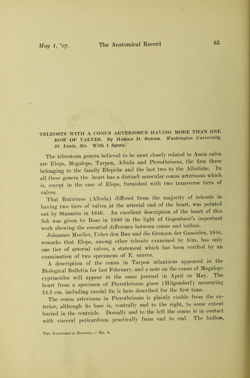 May I, ’07. The Anatomical Record TELEOSTS WITH A CONUS ARTEUIOSUS HAVING MOUE THAN ONE HOW OF VALVES. By IIaroi.d D. Senior. Washington University, St. Louis, Mo. With 1 figure. The teleostoan genera believed to be most closely related to Amia calva are Elops, lUegalops, Tarpon, Albula and rterotbrissus, tbe first three belonging to the family Elopidae and tbe last two to tbe Albulidie. In all these genera tbe heart has a distinct muscular conus arteriosus which is, except ill the case of Elops, furnished with two transverse tiers of valves. That Riitirimis (Albula) differed from tbe majority of teleosts in having two tiers of valves at the arterial end of the heart, was pointed out by Stanniiis in 1846. An excellent description of the heart of this fish was given by Boaz in 1880 in the light of Gegenbaiir’s important work showing the essential difference between eoniis and biilbus. .Tobaniies Mueller, Eeber den Bau und die Grenzen der Ganoiden, 1846, remarks that Elops, among other teleosts examined by him, has only one tier of arterial valves, a statement which lias been verified by an examination of two specimens of E. saurus. A description of tbe conus in Tarpon atlanticus appeared lu the Biological Bulletin for last February, and a note on the conus of IMegalops cyprinoides will appear in tbe same journal in April or ]May. The heart from a specimen of Pterotbrissiis gissii (Hilgendorf) measuring 24.5 cm. including caudal fin is here described for tbe first time. Tbe conus arteriosus in Pterotbrissiis is plainly visible from the ex- terior, although its base is, ventrally and to the right, to some extent buried in the ventricle. Dorsally and to the left the eoniis is in contact with visceral pericardium practically from end to end. Tbe bulbiw, The Anatomical UF.rnnn.— No. 4.