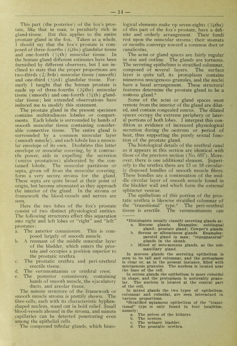 This part ( the posterior) of the fox’s pros- tate, like that in man, is peculiarly rich in gland-tissue. But this applies to the entire prostate gland in the fox. Taken as a whole, I should say that the fox's prostate is com- posed of three-fourths (44ths) glandular tissue and one-fourth (^th) muscular tissue. In the human gland different estimates have been furnished by different observers, but I am in- clined to state that the proper proportions are two-thirds (2/3rds) muscular tissue (smooth) and one-third O^rd) glandular tissue. For- merly I taught that the human prostate is made up of three-fourths (^ths) muscular tissue (smooth) and one-fourth (^th) gland- ular tissue; but extended observations have induced me to modify this statement. The prostate gland in the present specimen contains multitudinous lobules or compart- ments. Each lobule is surrounded by bands of smooth muscular tissue containing consider- able connective tissue. The entire gland is surrounded by a common muscular layer (smooth muscle), and each lobule has a muscu- lar envelope of its own. Doubtless this latter envelope or muscular covering, by it contrac- tile power, aids in expelling the secretion (succus prostaticus) elaborated by the con- tained lobule. The muscular partitions or septa, given off from the muscular covering, form a very secure stroma for the gland. These septa are quite broad at their point of origin, but become attenuated as they approach the interior of the gland. In the stroma or framework the blood-vessels and nerves are seen. Here the two lobes of the fox’s prostate consist of two distinct physiological entities. The following structures effect this separation into right and left lobes or “right’’ and “left” prostates: a. The anterior commissure. This is com- posed largely of smooth muscle. b. A remnant of the middle muscular layer of the bladder, which enters the pros- tate and occupies a position superior to the prostatic urethra. c. The prostatic urethra and peri-urethral erectile tissue. d. The verumontanum or urethral crest. e. The posterior commissure, containing bands of smooth muscle, the ejaculatory ducts, and areolar tissue. The minute structure of the framework or smooth muscle stroma is prettily shown. The fibre-cells, each with its characteristic hyphen- shaped nucleus, stand out in bold relief. Small blood-vessels abound in the stroma, and minute capillaries can be detected penetrating even among the epithelial cells. The compound tubular glands, which histo- logical elements make up seven-eights ()>^ths) of this part of the fox’s prostate, have a defi- nite and orderly arrangement. Their fundi rest upon the muscular stroma; their stomata or mouths converge toward a common duct or canaliculus. The acini or gland spaces are fairly regular in size and outline. The glands are tortuous. The secreting epithelium is stratified columnar, composed of several layers. The surface layer is quite tall, its protoplasm contains numerous mucigenous granules, and the nuclei have a basal arrangement. These structural features determine the prostate gland to be a mucous gland.* Some of the acini or gland spaces most remote from the interior of the gland are dilat- ed, and contain congealed mucus. The dilated spaces occupy the extreme periphery or later- al portions of both lobes. I interpret this con- dition as evidence of increased physiological secretion during the oestrum or period of heat, thus supporting the purely sexual func- tion of the prostate gland. The histological details of the urethral canal as it appears in this section are identical with those of the previous section (No. 697). More- over, there is one additional element. Superi- orly to the urethra there are 15 or 18 circular- ly disposed bundles of smooth muscle fibres. These bundles are a continuation of the mid- dle circular layer of smooth muscle found in the bladder wall and which form the external sphincter vesicae. The epithelium of this portion of the pros- tatic urethra is likewise stratified columnar of the “transitional” type.* The peri-urethral tissue is erectile. The verumontanum can ♦Histologists usually classify secreting glands as: a. Mucous glands. Examples: sublingual gland; prostate gland; Cowper’s glands. b. Serous or albuminous glands. Examples: parotid gland in man; “repugnatorial” glands in the skunk. c. Mixed or sero-mucous glands, as the sub- maxillary gland. In mucous glands the secreting epithelium is seen to he tall and columnar, and the protoplasm is clear or, as in the present instance, filled with mucigenous granules. The nucleus is located near the base of the cell. In serous glands the epithelium is more cuboidal in shape, and the protoplasm is noticeably granu- lar. The nucleus is located at the central part of the cell. In mixed glands the two types of epithelium, columnar and cuhoidal, are seen intermixed in various proportions. ♦Stratified squamous epithelium of the “transi- tional” type is only found in four localities; namely: a. The pelves of the kidneys. b. The ureters. c. The urinary bladder. d. The prostatic urethra.