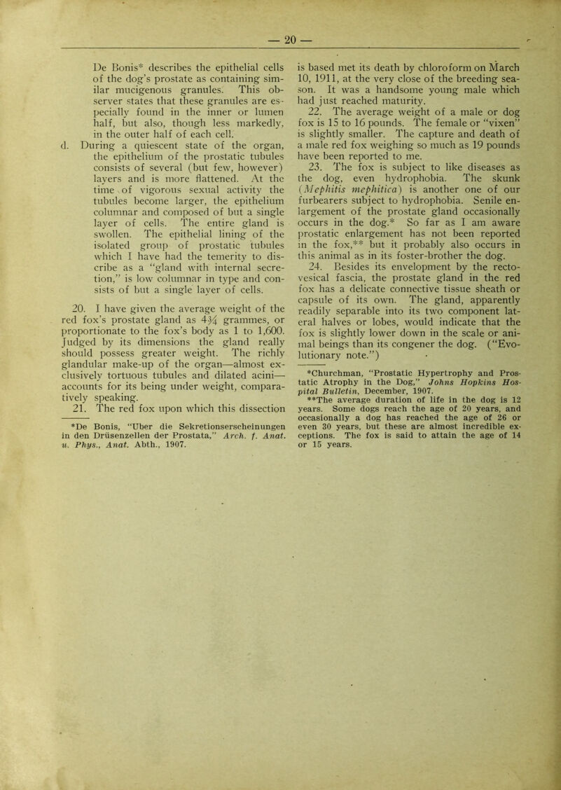 De Bonis* describes the epithelial cells of the dog’s prostate as containing sim- ilar mncigenous granules. This ob- server states that these granules are es- pecially found in the inner or lumen half, but also, though less markedly, in the outer half of each cell, d. During a quiescent state of the organ, the epithelium of the prostatic tubules consists of several (but few, however) layers and is more flattened. At the time of vigorous sexual activity the tubules become larger, the epithelium columnar and composed of but a single layer of cells. The entire gland is swollen. The epithelial lining of the isolated group of prostatic tubules which I have had the temerity to dis- cribe as a “gland with internal secre- tion,” is low columnar in type and con- sists of but a single layer of cells. 20. I have given the average weight of the red fox’s prostate gland as 4^ grammes, or proportionate to the fox’s body as 1 to 1,600. Judged by its dimensions the gland really should possess greater weight. The richly glandular make-up of the organ—almost ex- clusively tortuous tubules and dilated acini— accounts for its being under weight, compara- tively speaking. 21. The red fox upon which this dissection *De Bonis, “Uber die Sekretionserscheinimgen in den Driisenzellen der Prostata,” Arch. f. Anat. u. Phys., Anat. Abth., 1907. is based met its death by chloroform on March 10, 1911, at the very close of the breeding sea- son. It was a handsome young male which had just reached maturity. 22. The average weight of a male or dog fox is 15 to 16 pounds. The female or “vixen” is slightly smaller. The capture and death of a male red fox weighing so much as 19 pounds have been reported to me. 23. The fox is subject to like diseases as the dog, even hydrophobia. The skunk {Mephitis mephitica) is another one of our furbearers subject to hydrophobia. Senile en- largement of the prostate gland occasionally occurs in the dog.* So far as I am aware prostatic enlargement has not been reported in the fox,** but it probably also occurs in this animal as in its foster-brother the dog. 24. Besides its envelopment by the recto- vesical fascia, the prostate gland in the red fox has a delicate connective tissue sheath or capsule of its own. The gland, apparently readily separable into its two component lat- eral halves or lobes, would indicate that the fox is slightly lower down in the scale or ani- mal beings than its congener the dog. (“Evo- lutionary note.”) ♦Churchman, “Prostatic Hypertrophy and Pros- tatic Atrophy in the Dog,” Johns Hopkins Hos- pital Bulletin, December, 1907. **The average duration of life in the dog is 12 years. Some dogs reach the age of 20 years, and occasionally a dog has reached the age of 26 or even 30 years, but these are almost incredible ex- ceptions. The fox is said to attain the age of 14 or 15 years.