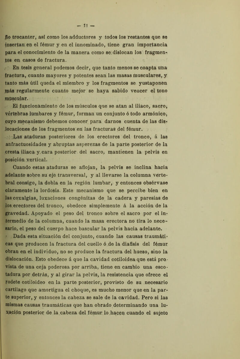-li- ño trocánter, asi como los adductores y todos los restantes que se insertan en el fémur y en el innominado, tiene gran importancia para el conocimiento de la manera como se. dislocan los fragmen- tos en casos de fractura. En tesis general podemos decir, que tanto menos se coapta una fractura, cuanto mayores y potentes sean las masas musculares, y tanto más útil queda el miembro y los fragmentos se yustaponen más regularmente cuanto mejor se haya sabido vencer el tono mpscular. El funcionamiento de los músculos que se atan al iliaco, sacro, vértebras lumbares y fémur, forman un conjunto ó todo armónico, cuyo mecanismo debemos conocer para darnos cuenta de las dis- locaciones de los fragmentos en las fracturas del fémur. : Las ataduras posteriores de los erectores del tronco, á las anfractuosidades y abruptas asperezas de la parte posterior de la cresta iliaca y. cara posterior del sacro, mantienen la pelvis en posición vertical. Cuando estas ataduras se aflojan, la pelvis se inclina hacia adelante sobre su eje transversal, y al llevarse la columna verte- bral consigo, la dobla en la región lumbar, y entonces obsérvase claramente la lordosis. Este mecanismo que se percibe bien en las coxalgias, luxaciones congénitas de la cadera y paresias de los erectores del tronco, obedece simplemente á la acción de la gravedad. Apoyado el peso del tronco sobre el sacro por el in- termedio de la columna, cuando la masa erectora no tira lo nece- sario, el peso del cuerpo hace bascular la pelvis hacia adelante. Dada esta situación del conjunto, cuando las causas traumáti- cas que producen la fractura del cuello ó .de la diaflsia del fémur obran en el individuo, no se produce la fractura del hueso, sino la dislocación. Esto obedece á que la cavidad cotiloidea que está pro- vista de una ceja poderosa por arriba, tiene en cambio una esco- tadura por detrás, y al girar la pelvis, la resistencia que ofrece el rodete cotiloideo en la parte posterior, provisto de su necesario cartílago que amortigua el choque, es mucho menor que en la par- te superior, y entonces la cabeza se sale de la cavidad. Pero si las mismas causas traumáticas que han obrado determinando una lu- xación posterior de la.cabeza del fémur lo hacen cuando el sujeto