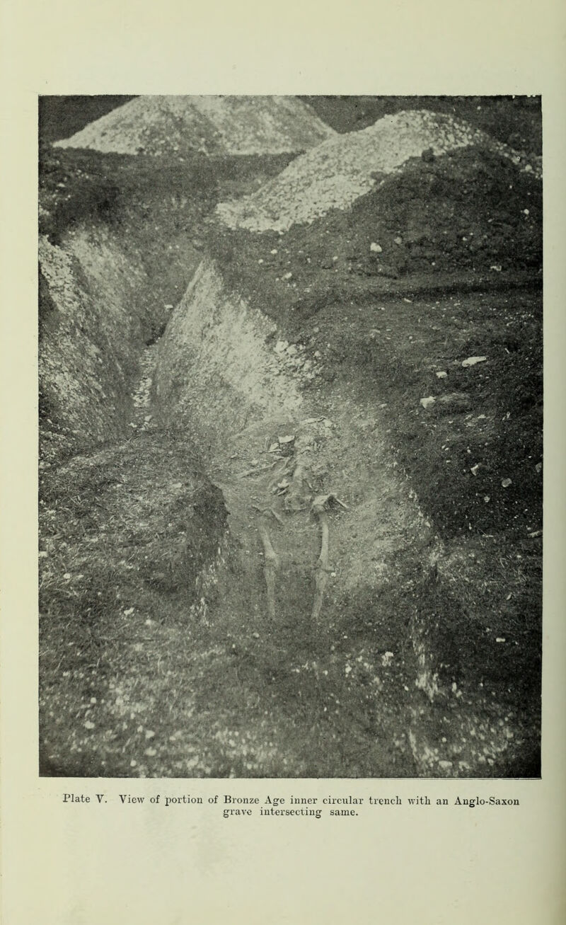 Plate V. View of portion of Bronze Age inner circular trench with an Anglo-Saxon grave intersecting same.