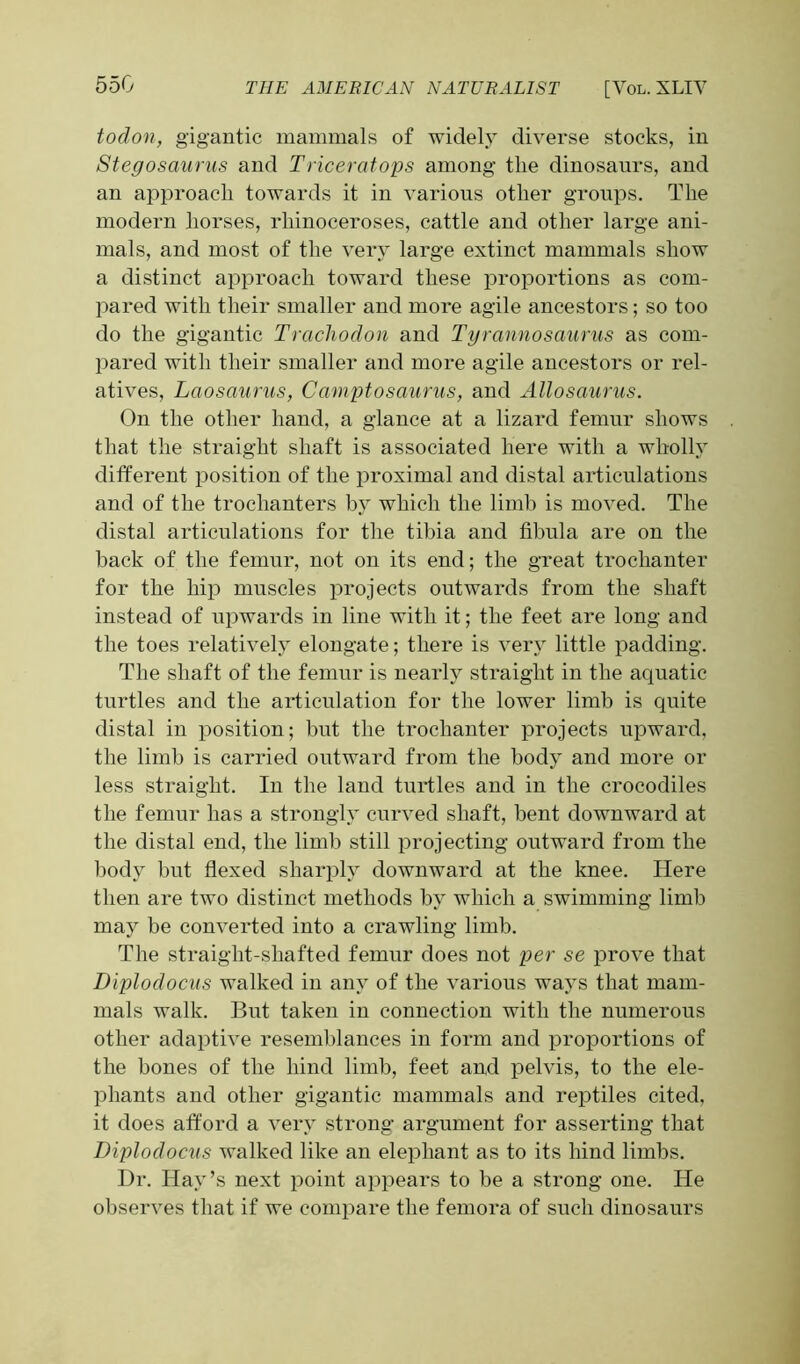 todon, gigantic mammals of widely diverse stocks, in Stegosaurus and Triceratops among the dinosaurs, and an approach towards it in various other groups. The modern horses, rhinoceroses, cattle and other large ani- mals, and most of the very large extinct mammals show a distinct approach toward these proportions as com- pared with their smaller and more agile ancestors; so too do the gigantic Trachodon and Tyrannosaurus as com- pared with their smaller and more agile ancestors or rel- atives, Laosaurus, Camptosaurus, and Allosaurus. On the other hand, a glance at a lizard femur shows that the straight shaft is associated here with a wholly different position of the proximal and distal articulations and of the trochanters by which the limb is moved. The distal articulations for the tibia and fibula are on the back of the femur, not on its end; the great trochanter for the hip muscles projects outwards from the shaft instead of upwards in line with it; the feet are long and the toes relatively elongate; there is very little padding. The shaft of the femur is nearly straight in the aquatic turtles and the articulation for the lower limb is quite distal in position; but the trochanter projects upward, the limb is carried outward from the body and more or less straight. In the land turtles and in the crocodiles the femur has a strongly curved shaft, bent downward at the distal end, the limb still projecting outward from the body but flexed sharply downward at the knee. Here then are two distinct methods by which a swimming limb may be converted into a crawling limb. The straight-shafted femur does not per se prove that Diplodocus walked in any of the various ways that mam- mals walk. But taken in connection with the numerous other adaptive resemblances in form and proportions of the bones of the hind limb, feet and pelvis, to the ele- phants and other gigantic mammals and reptiles cited, it does afford a very strong argument for asserting that Diplodocus walked like an elephant as to its hind limbs. Dr. Hay’s next point appears to be a strong one. He observes that if we compare the femora of such dinosaurs