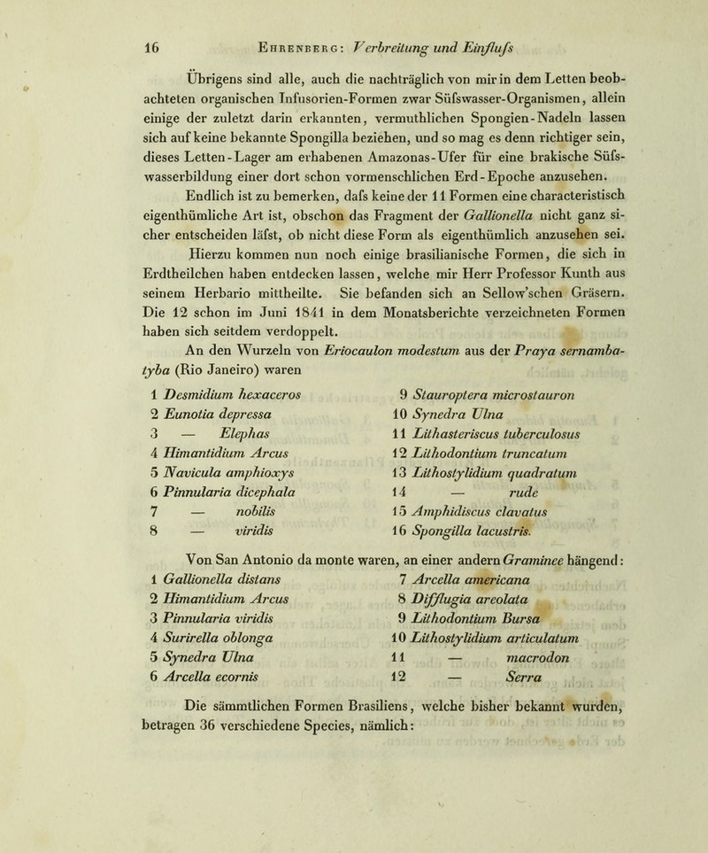 Übrigens sind alle, auch die nachträglich von mir in dem Letten beob- achteten organischen Tnfusorien-Formen zwar Siifswasser-Organismen, allein einige der zuletzt darin erkannten, vermuthlichen Spongien-Nadeln lassen sich auf keine bekannte Spongilla beziehen, und so mag es denn richtiger sein, dieses Letten-Lager am erhabenen Amazonas-Ufer für eine brakische Süfs- wasserbildung einer dort schon vormenschlichen Erd-Epoche anzusehen. Endlich ist zu bemerken, dafs keine der 11 Formen eine characteristisch eigenthümliche Art ist, obschon das Fragment der Gallionella nicht ganz si- cher entscheiden läfst, ob nicht diese Form als eigenthümlich anzusehen sei. Hierzu kommen nun noch einige brasilianische Formen, die sich in Erdtheilchen haben entdecken lassen, welche mir Herr Professor Kunth aus seinem Herbario mittheilte. Sie befanden sich an Sellow’schen Gräsern. Die 12 schon im Juni 1841 in dem Monatsberichte verzeichneten Formen haben sich seitdem verdoppelt. An den Wurzeln von Eriocaulon modestum aus der Praya sernamba- tyba (Rio Janeiro) waren 1 Desmidium hexaceros 2 Eunotia depressa 3 — Elephas 4 Himantidium Arcus 5 Navicula amphioxys 6 Pinnularia dicephala 7 — nobilis 8 — viridis 9 Stauroptera microstauron 10 Synedra Ulna 11 Lithasteriscus luberculosus 12 Lithodontium truncatum 13 Lithostylidium quadratum 14 — rüde 15 Amphidiscus clavatus 16 Spongilla lacustris. Von San Antonio da monte waren, an einer andernGraminee hängend: 1 Gallionella distans 7 Arcella americana 2 Himantidium. Arcus 8 Hifflugia areolata 3 Pinnularia viridis 9 Lithodontium Bursa 4 Surirella oblonga 10 Lithostylidium articulatum 5 Synedra Ulna 11 — macrodon 6 Arcella ecornis 12 — Serra •' » ‘ ) I i ) j i Die sämmtlichen Formen Brasiliens, welche bisher bekannt wurden, betragen 36 verschiedene Species, nämlich: