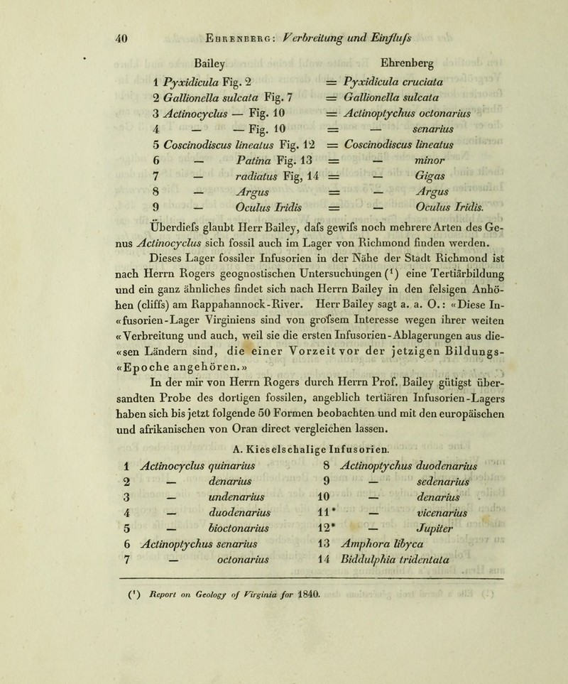 Bailey 1 Pyxidicula Fig. 2 2 Gallionella sulcata Fig. 7 3 Actinocyclus — Fig. 10 4 — — Fig. 10 5 Coscinodiscus lineatus Fig. 12 6 — Patina Fig. 13 7 — radiatus Fig, 14 8 — Argus 9 — Oculus Iridis Ehrenberg = Pyxidicula cruciata = Gallionella sulcata — Actinoptychus octonarius — — senarius = Coscinodiscus lineatus — — minor — — Gigas = — Argus = — Oculus Iridis. Überdiefs glaubt Herr Bailey, dafs gewifs noch mehrere Arten des Ge- nus Actinocyclus sich fossil auch im Lager von Richmond finden werden. Dieses Lager fossiler Infusorien in der Nähe der Stadt Richmond ist nach Herrn Rogers geognostischen Untersuchungen (*) eine Tertiärbildung und ein ganz ähnliches findet sich nach Herrn Bailey in den felsigen Anhö- hen (cliffs) am Rappahannock-River. Herr Bailey sagt a. a. O.: «Diese In- «fusorien-Lager Yirginiens sind von grofsem Interesse wegen ihrer weiten «Verbreitung und auch, weil sie die ersten Infusorien-Ablagerungen aus die- «sen Ländern sind, die einer Vorzeit vor der jetzigen Bildungs- «Epoche angehören.» In der mir von Herrn Rogers durch Herrn Prof. Bailey gütigst über- sandten Probe des dortigen fossilen, angeblich tertiären Infusorien-Lagers haben sich bis jetzt folgende 50 Formen beobachten und mit den europäischen und afrikanischen von Oran direct vergleichen lassen. A. Kieselschalige Infusorien. 1 Actinocyclus quinarius 8 Actinoptychus duodenarius 2 — denarius 9 — sedenarius 3 — undenarius 10 — denarius 4 — duodenarius 11* — vicenarius 5 — bioctonarius 12* — Jupiter 6 Actinoptychus senarius 13 Amphora libyca 7 — octonarius 14 Biddulphia tridentala (') Report on Geolog/ of Virginia for 1840.