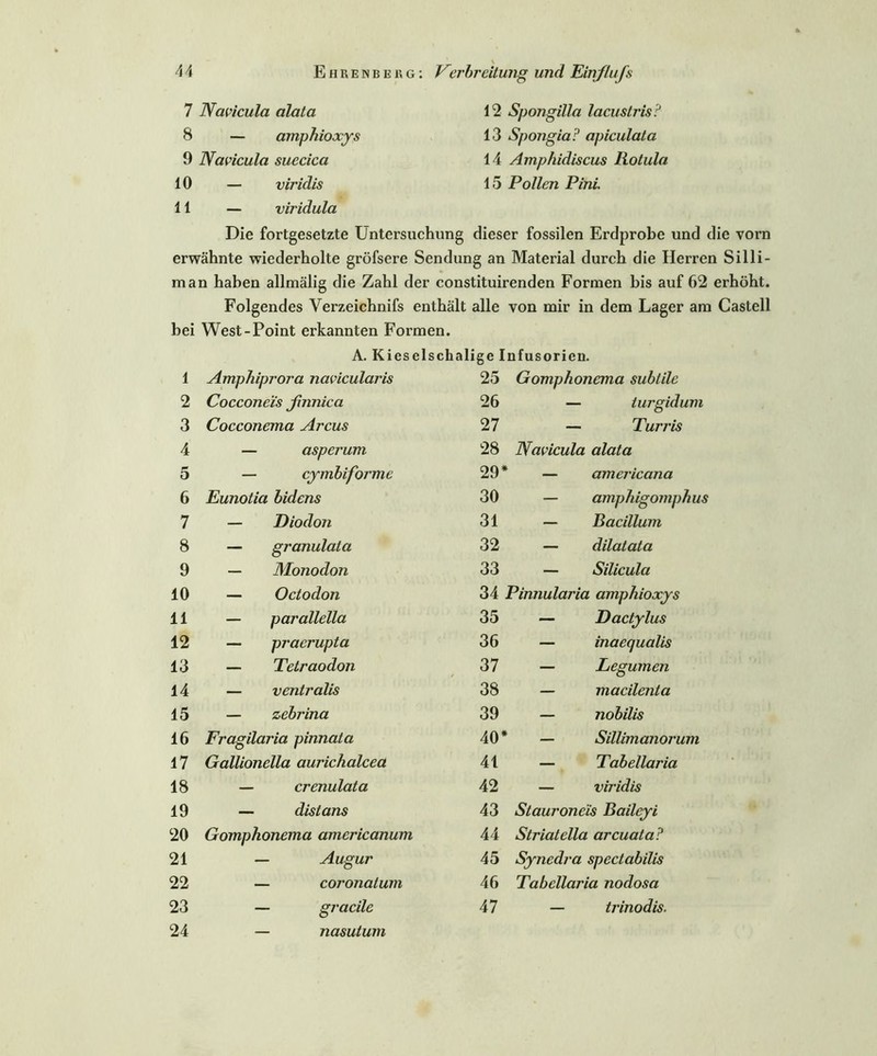E h r e n b e i\ g : Verbreitung und Einflufs 12 Spongilla lacustris? 13 Spongia? apiculata 14 Amphidiscus Rotula 15 Pollen Pini. 7 Navicula alata 8 — amphioxys 9 Navicula suecica 10 — viridis 11 — viridula Die fortgesetzte Untersuchung dieser fossilen Erdprobe und die vorn erwähnte wiederholte gröfsere Sendung an Material durch die Herren Silli- man haben allmälig die Zahl der constituirenden Formen bis auf 62 erhöht. Folgendes Verzeichnis enthält alle von mir in dem Lager an bei West-Point erkannten Formen. A. Kieselsclialige Infusorien. 1 Amphiprora navicularis 25 Gomphonema subtile 2 Cocconeis finnica 26 — turgidum 3 Cocconema Arcus 27 — Turris 4 — asperum 28 Navicula alata 5 — cymbiforme 29* — americana 6 Eunotia bidens 30 — amphigomphm 7 — Diodoji 31 — Bacillum 8 — granulata 32 — dilatata 9 — Monodon 33 — Silicula 10 — Octodon 34 Pinnularia amphioxys 11 — parallella 35 — Dactylus 12 — pracrupta 36 — inaequalis 13 — Tetraodon 37 — Legumen 14 — ventralis 38 — macilenta 15 — zebrina 39 — nobilis 16 Fragilaria pinnata 40* — Sillimanoi'um 17 Gallionella aurichalcea 41 — Tabellaria 18 — crenulata 42 — viridis 19 — distans 43 Stauroncis Baileyi 20 Gomphonema americanum 44 Striatella arcuata? 21 — Augur 45 Synedra spectabilis 22 — coronalum 46 Tabellaria nodosa 23 24 — gracile — nasutum 47 — trinodis.