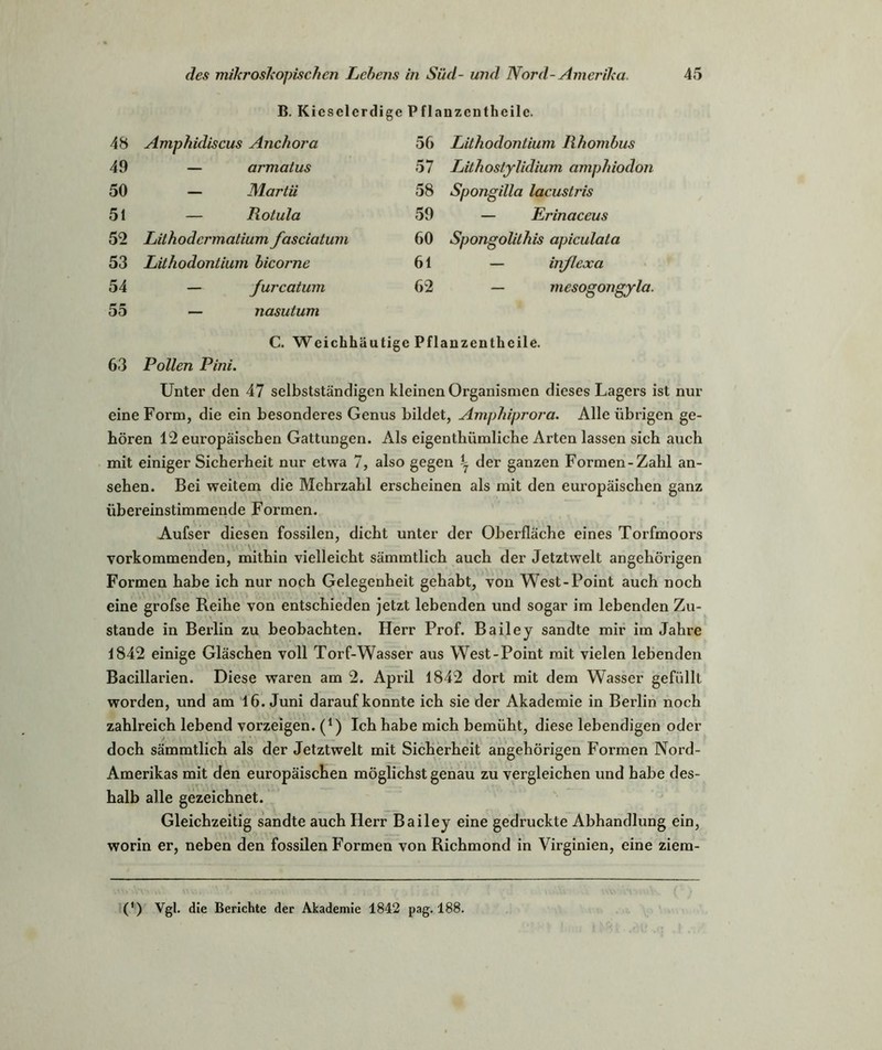 B. Kiesclcrdige Pflanzcntheilc. 48 Amphidiscus Anchora 56 Lithodontium Rhombus 49 — armatus 57 Lith ostylidium amphiodon 50 — Martii 58 Spongilla lacustris 51 — Rotula 59 — Er in accus 52 Lilhodcrmatium fasciatum 60 Spongolithis apiculala 53 Lithodontium bicorne 61 — inflexa 54 — furcatum 62 — mesogongyla. 55 — nasutum C. Weichhäu tige Pflanzcntheile. 63 Pollen Pini. Unter den 47 selbstständigen kleinen Organismen dieses Lagers ist eine Form, die ein besonderes Genus bildet , Amphiprora. Alle übrigen hören 12 europäischen Gattungen. Als eigenthümliche Arten lassen sich auch mit einiger Sicherheit nur etwa 7, also gegen 1 der ganzen Formen-Zahl an- sehen. Bei weitem die Mehrzahl erscheinen als mit den europäischen ganz übereinstimmende Formen. Aufser diesen fossilen, dicht unter der Oberfläche eines Torfmoors vorkommenden, mithin vielleicht sämmtlich auch der Jetztwelt angchörigen Formen habe ich nur noch Gelegenheit gehabt, von West-Point auch noch eine grofse Reihe von entschieden jetzt lebenden und sogar im lebenden Zu- stande in Berlin zu beobachten. Herr Prof. Bailey sandte mir im Jahre 1842 einige Gläschen voll Torf-Wasser aus West-Point mit vielen lebenden Bacillarien. Diese waren am 2. April 1842 dort mit dem Wasser gefüllt worden, und am 16. Juni darauf konnte ich sie der Akademie in Berlin noch zahlreich lebend vorzeigen. (*) Ich habe mich bemüht, diese lebendigen oder doch sämmtlich als der Jetztwelt mit Sicherheit angehörigen Formen Nord- Amerikas mit den europäischen möglichst genau zu vergleichen und habe des- halb alle gezeichnet. Gleichzeitig sandte auch Herr Bailey eine gedruckte Abhandlung ein, worin er, neben den fossilen Formen von Richmond in Virginien, eine ziem- (') Vgl. die Berichte der Akademie 1842 pag. 188.