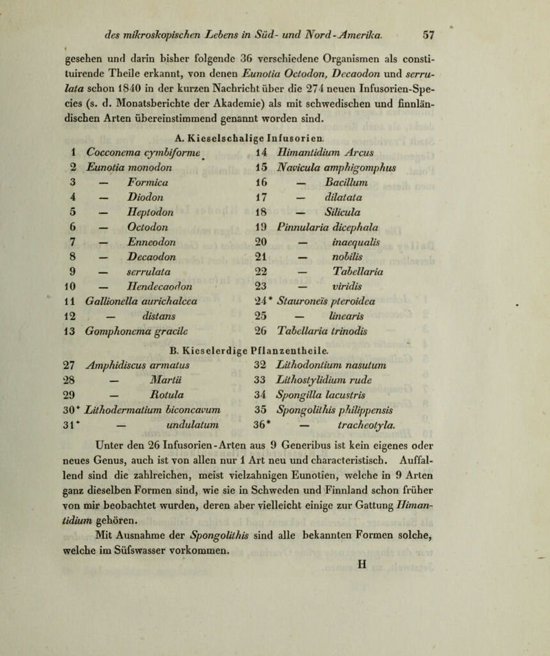 gesehen und darin bisher folgende 36 verschiedene Organismen als consti- tuirende Theile erkannt, von denen Eunotia Octodon, Dccaodon und serru- lata schon 1840 in der kurzen Nachricht über die 274 neuen Infusorien-Spe- cies (s. d. Monatsberichte der Akademie) als mit schwedischen und finnlän- dischen Arten übereinstimmend genannt worden sind. A. Kiesclschalige Infusorien. 1 Cocconema cymbiformt 14 Himantidium Arcus 2 Eunotia monodon 15 Navicula amphigomplius 3 — Formica 16 — Bacillum 4 — Diodon 17 — dilatata 5 — Heptodon 18 — Silicula 6 — Octodon 19 Pinnularia dicephala 7 — Enneodon 20 — inaequalis 8 — Decaodon 21 — nobilis 9 — serrulata 22 — Tabcllaria 10 — Hendecaodon 23 — viridis 11 Gallionella aurichalcea 241 * Stauronc'is pteroidca 12 — distans 25 — linearis 13 Gomphoncma gracilc 26 Tabellai'ia trinodis B. Kicselerdige Pflanzcnthcile. 27 Amphidiscus armatus 32 Lithodontiuni nasutum 28 — Martii 33 Lithostylidium rüde 29 — Rotula 34 Spongilla lacustris 30* Lithodermatium biconcavum 35 Spongolithis philippensis 31* — undulatum 36* — tracheotyla. Unter den 26 Infusorien-Arten aus 9 Generibus ist kein eigenes neues Genus, auch ist von allen nur 1 Art neu und characteristisch. Auffal- lend sind die zahlreichen, meist vielzahnigen Eunotien, welche in 9 Arten ganz dieselben Formen sind, wie sie in Schweden und Finnland schon früher von mir beobachtet wurden, deren aber vielleicht einige zur Gattung IJiman- tidium gehören. Mit Ausnahme der Spongolithis sind alle bekannten Formen solche, welche im Süfswasser Vorkommen. H