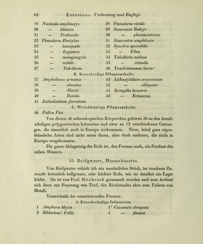 19 Navicula amphioxys 28 Pinnularia vii'idis 20 — dilatata 29 Stauroneis Baileyi 21 — Trabecula 30 — phoenicentcron 22 Pinnularia Dactylus 31 Staurosira amphilepta 23 — inaequalis 32 Synedra spectabilis 24 — Legumen 33 — Ulna 25 — mesogongyla 34 Tabellaria nodosa 26 — nobilis 35 — trinodis 27 — Tabellaria 36 Trachelomonas laevis? B. Kiesel erdige Pflanzentheile. 37 Amphidiscus armatus 42 Lith ostylidium Serpentin um 38 — clavatus 43 — obliquum 39 — IMartii 44 Spongilla lacustris 40 — Rotula 45 — Erinaceus. 41 Lithodontium furcatum C. Weichhäutige Pflanzentheile. 46 Pollen Pini. Von diesen 46 mikroskopischen Körperchen gehören 36 zu den kiesel- schaligen polygastrischen Infusorien und zwar zu 12 verschiedenen Gattun- gen, die sämmtlich auch in Europa Vorkommen. Neue, lokal ganz eigen- thümliche Arten sind nicht unter ihnen, aber doch mehrere, die nicht in Europa vorgekommen. Die ganze Ablagerung der Erde ist, den Formen nach, ein Product des süfsen Wassers. 33. Bridgwater, Massachusetts. Von Bridgwater erhielt ich ein ansehnliches Stück, im trocknen Zu- stande bräunlich hellgrauer, sehr leichter Erde, wie sie daselbst ein Lager bildet. Sie ist von Prof. Hitchcock gesammelt worden und man bedient sich ihrer zur Feuerung wie Torf, des Rückstandes aber zum Poliren von Metall. Verzeichnifs der constituirenden Formen: A. Kieselschalige Infusorien: 1 Amphora libyca 3* Cocconeis elongata 2 Biblarium ? Follis 4 — finnica